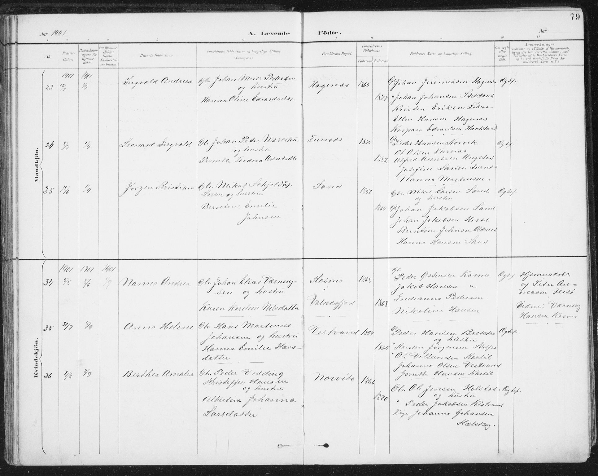 Ministerialprotokoller, klokkerbøker og fødselsregistre - Nordland, AV/SAT-A-1459/852/L0741: Ministerialbok nr. 852A11, 1894-1917, s. 79