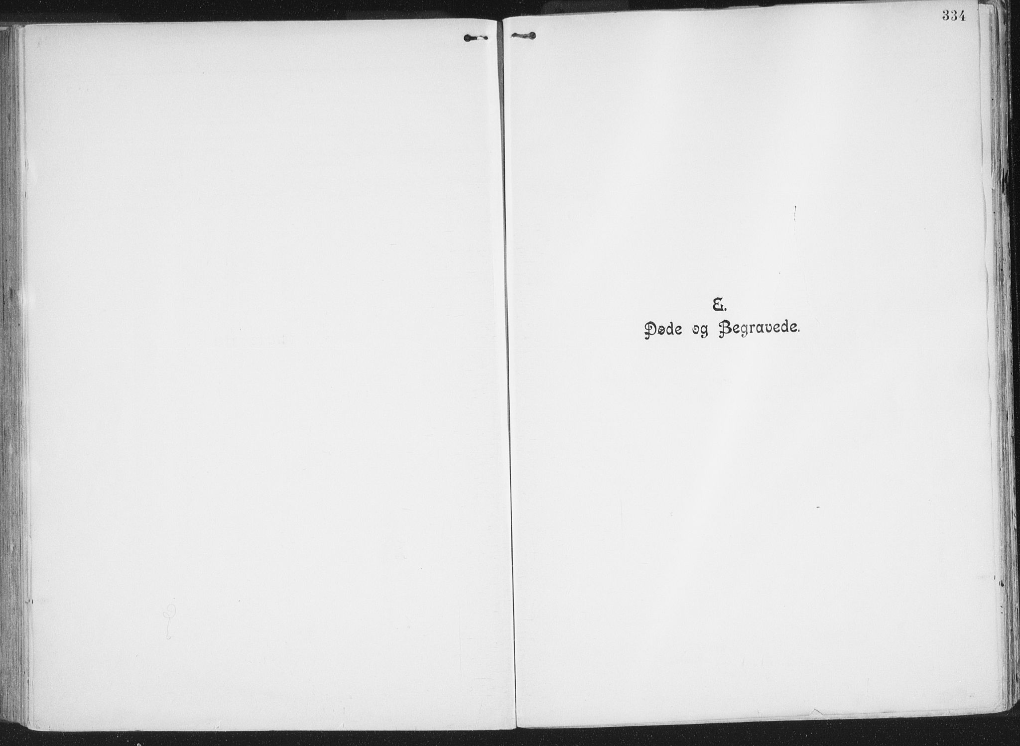 Ministerialprotokoller, klokkerbøker og fødselsregistre - Nordland, AV/SAT-A-1459/849/L0696: Ministerialbok nr. 849A08, 1898-1910, s. 334