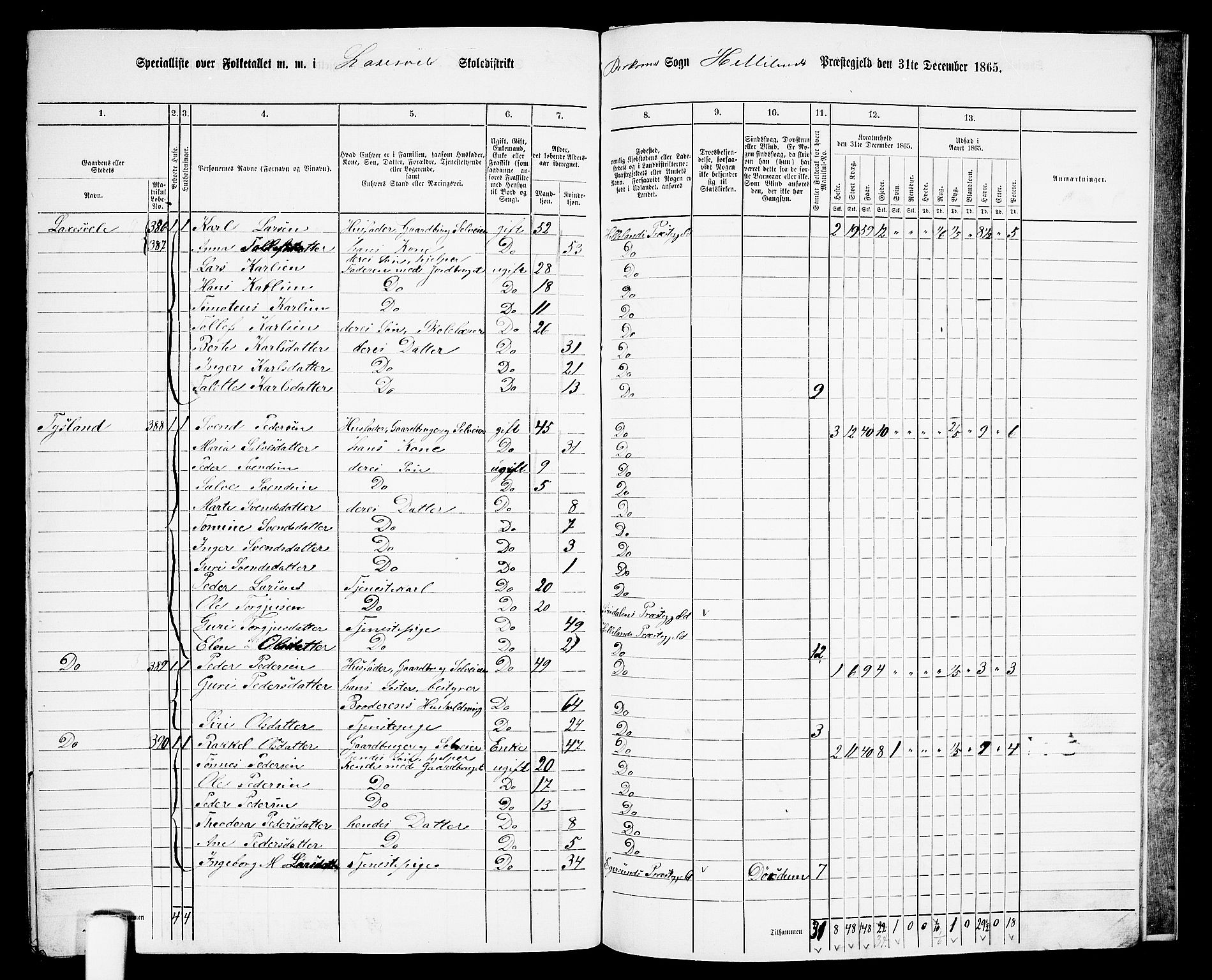 RA, Folketelling 1865 for 1115P Helleland prestegjeld, 1865, s. 133