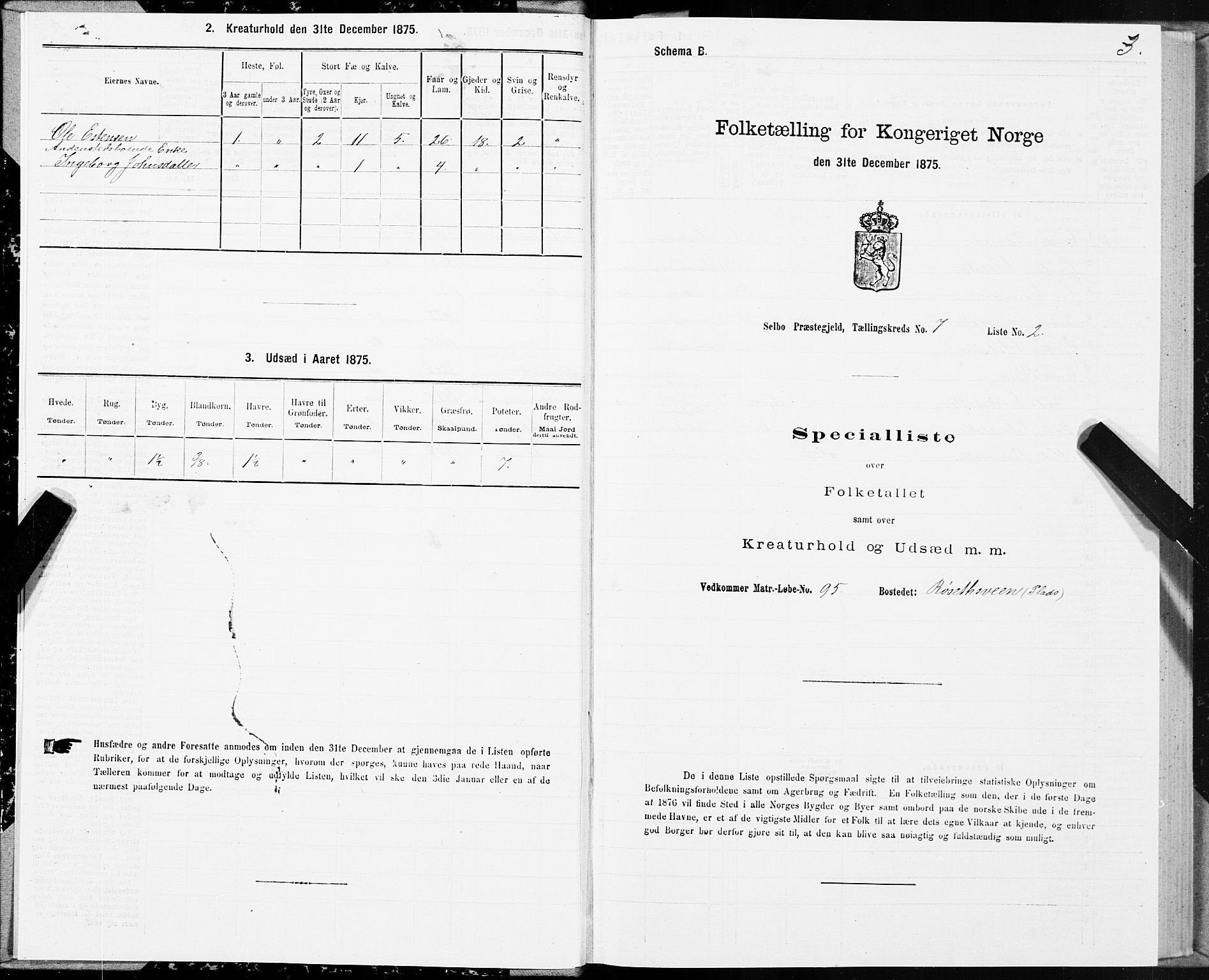 SAT, Folketelling 1875 for 1664P Selbu prestegjeld, 1875, s. 4003