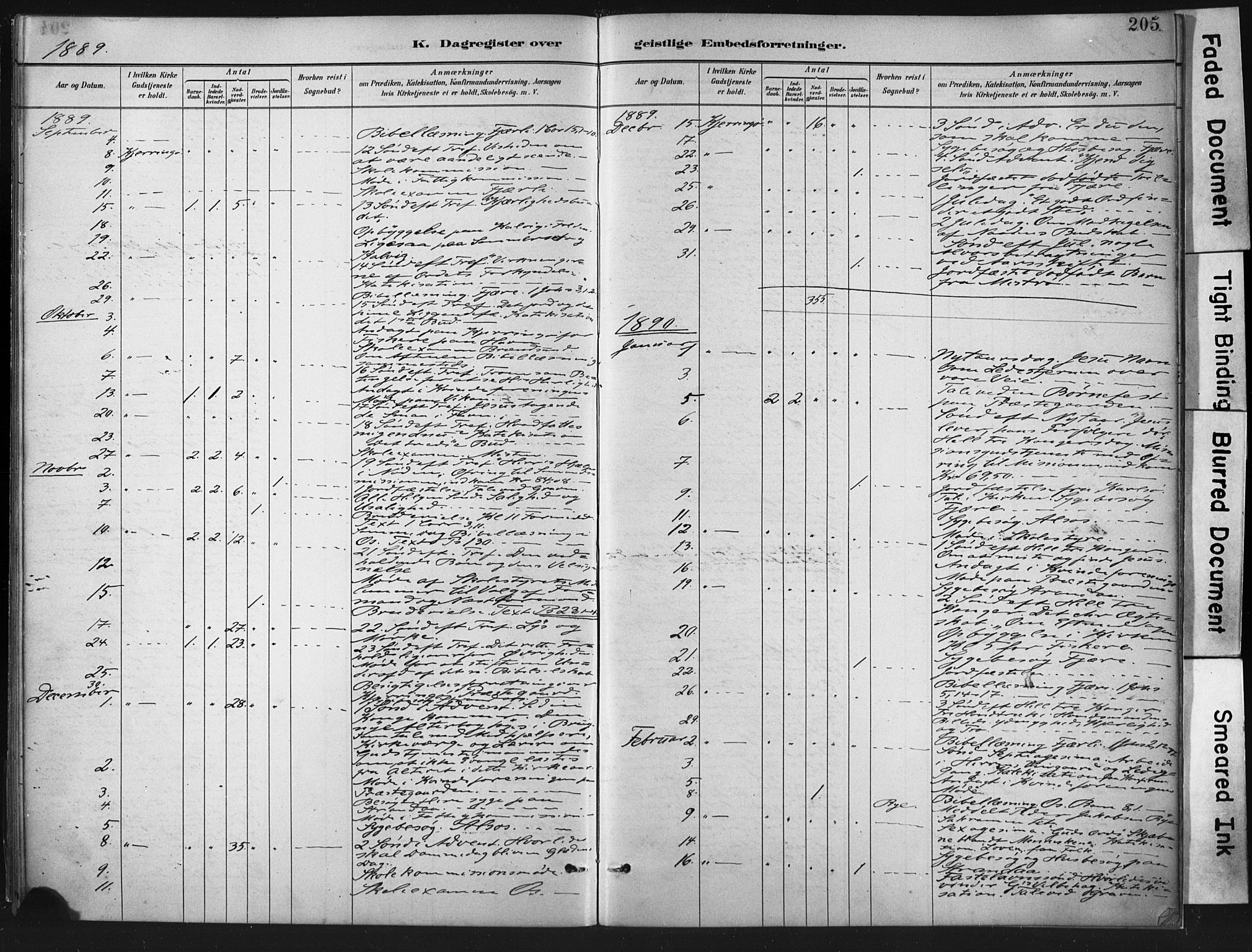 Ministerialprotokoller, klokkerbøker og fødselsregistre - Nordland, SAT/A-1459/803/L0071: Ministerialbok nr. 803A01, 1881-1897, s. 205