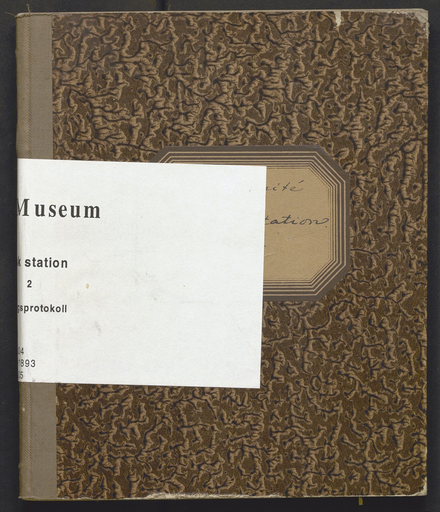 Bergens Museum, AV/SAB-A-17301/13/A/L0002: Forhandlingsprotokoll, byggekomite , 1891-1893