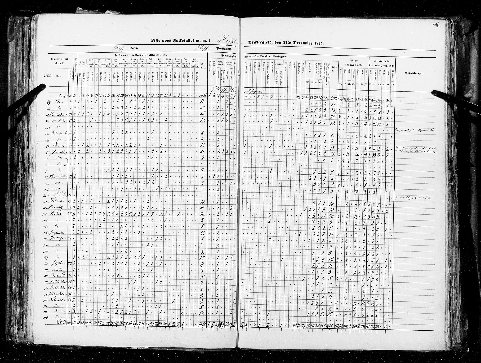 RA, Folketellingen 1845, bind 4: Buskerud amt og Jarlsberg og Larvik amt, 1845, s. 296