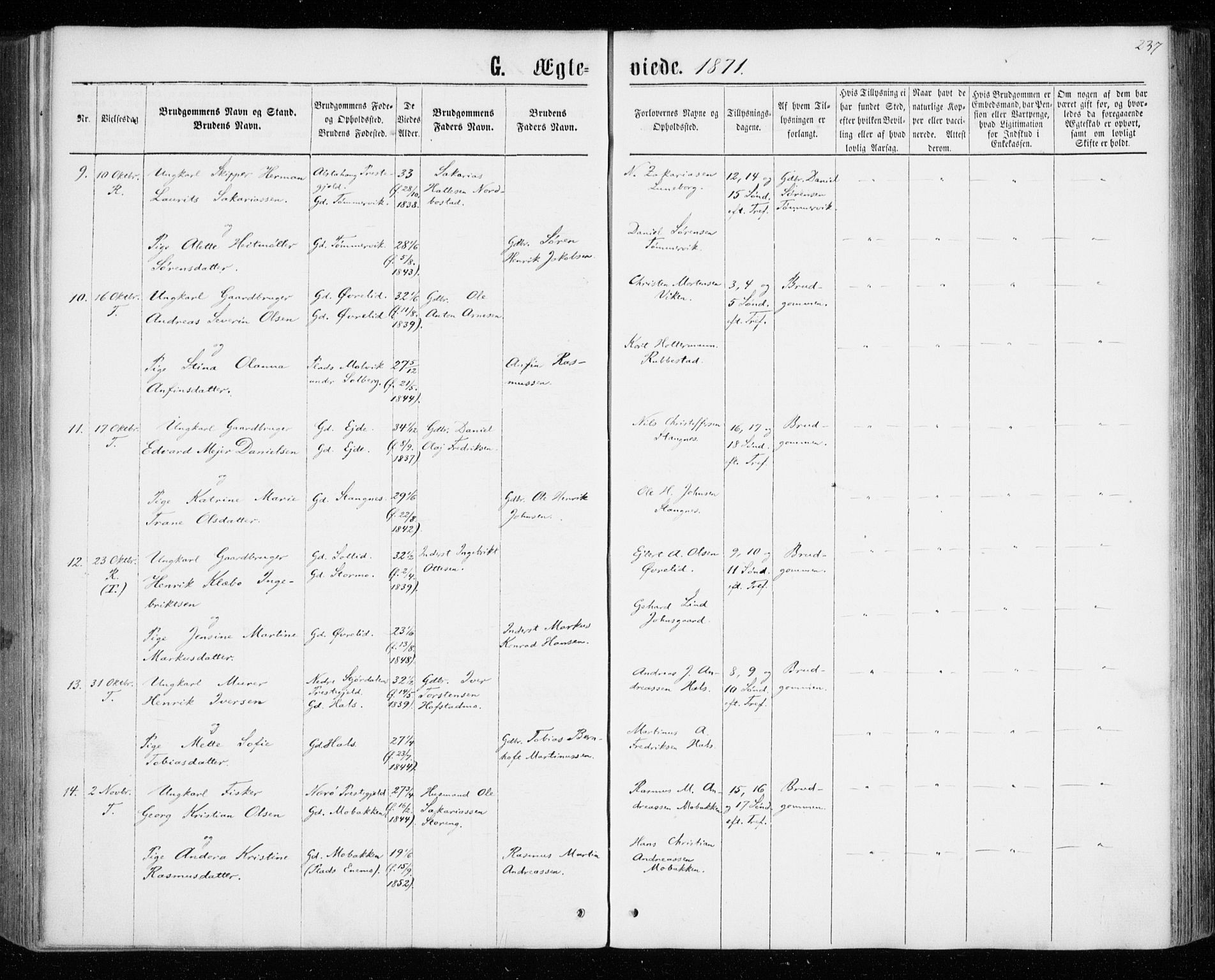 Tranøy sokneprestkontor, AV/SATØ-S-1313/I/Ia/Iaa/L0008kirke: Ministerialbok nr. 8, 1867-1877, s. 237