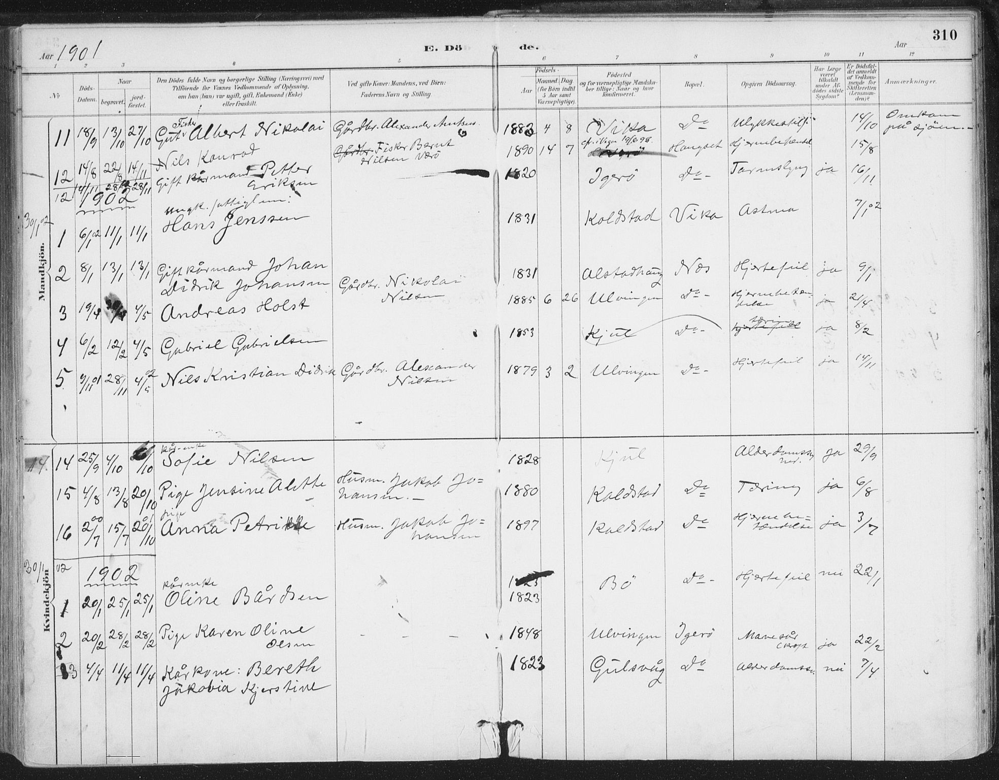 Ministerialprotokoller, klokkerbøker og fødselsregistre - Nordland, AV/SAT-A-1459/816/L0244: Ministerialbok nr. 816A10, 1886-1903, s. 310