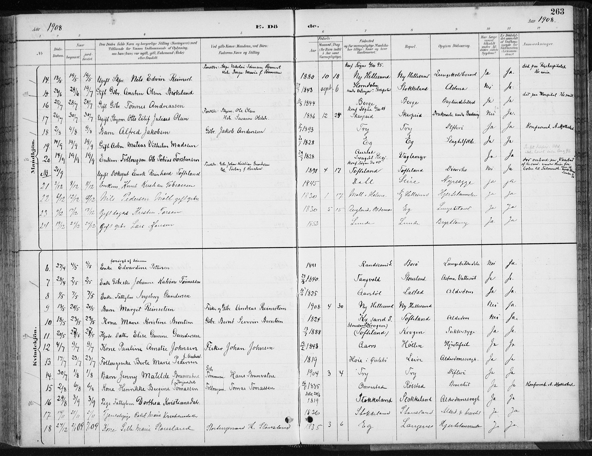 Søgne sokneprestkontor, AV/SAK-1111-0037/F/Fa/Fab/L0013: Ministerialbok nr. A 13, 1892-1911, s. 263