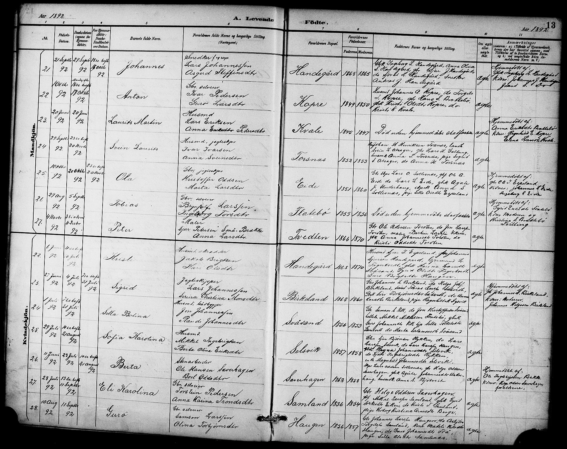 Ullensvang sokneprestembete, AV/SAB-A-78701/H/Hab: Klokkerbok nr. D 1, 1891-1908, s. 13