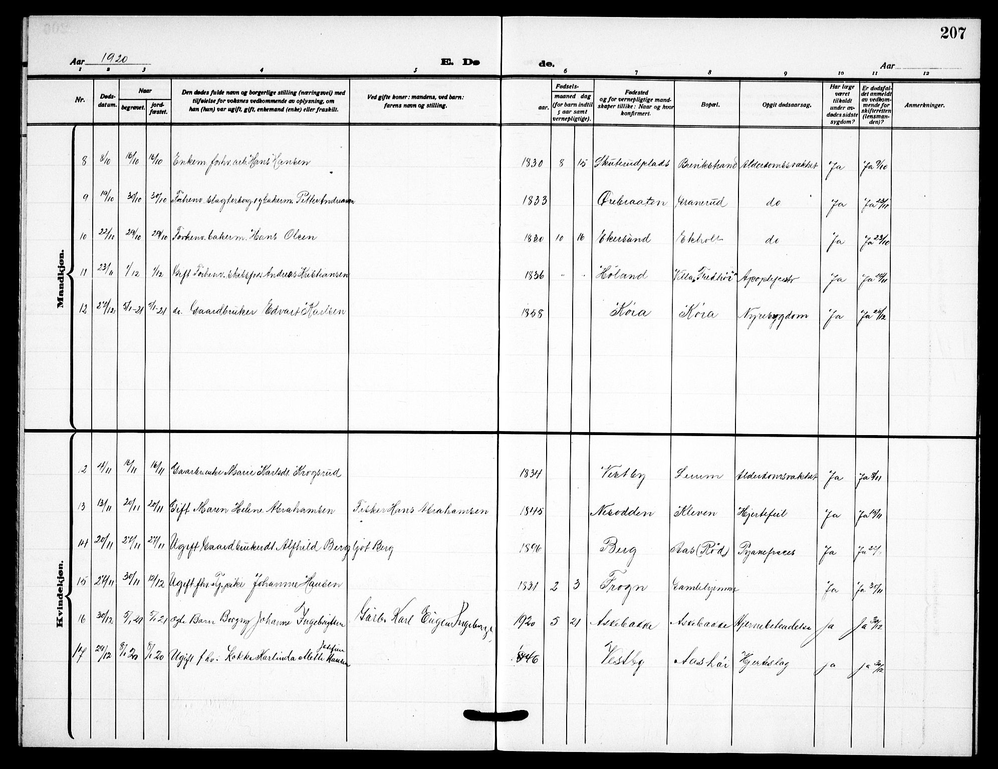 Drøbak prestekontor Kirkebøker, AV/SAO-A-10142a/G/Gb/L0002: Klokkerbok nr. II 2, 1919-1939, s. 207