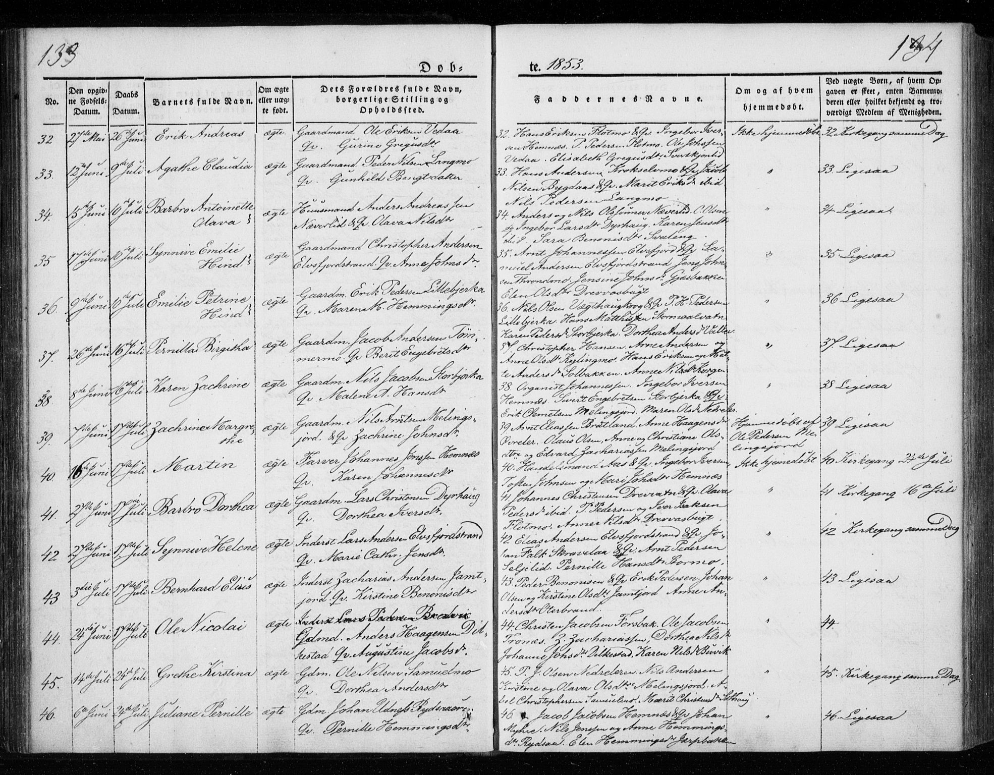 Ministerialprotokoller, klokkerbøker og fødselsregistre - Nordland, AV/SAT-A-1459/825/L0355: Ministerialbok nr. 825A09, 1842-1863, s. 133-134