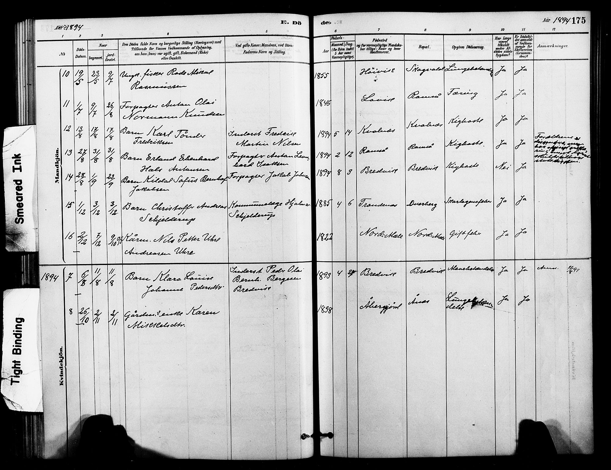 Ministerialprotokoller, klokkerbøker og fødselsregistre - Nordland, AV/SAT-A-1459/897/L1399: Ministerialbok nr. 897C06, 1881-1896, s. 175
