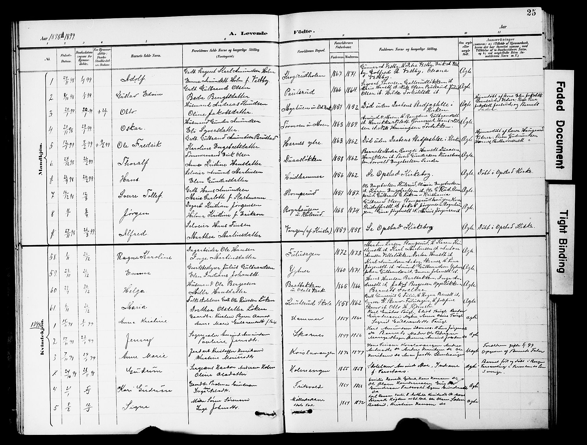 Sør-Odal prestekontor, AV/SAH-PREST-030/H/Ha/Hab/L0001: Klokkerbok nr. 1, 1895-1902, s. 25