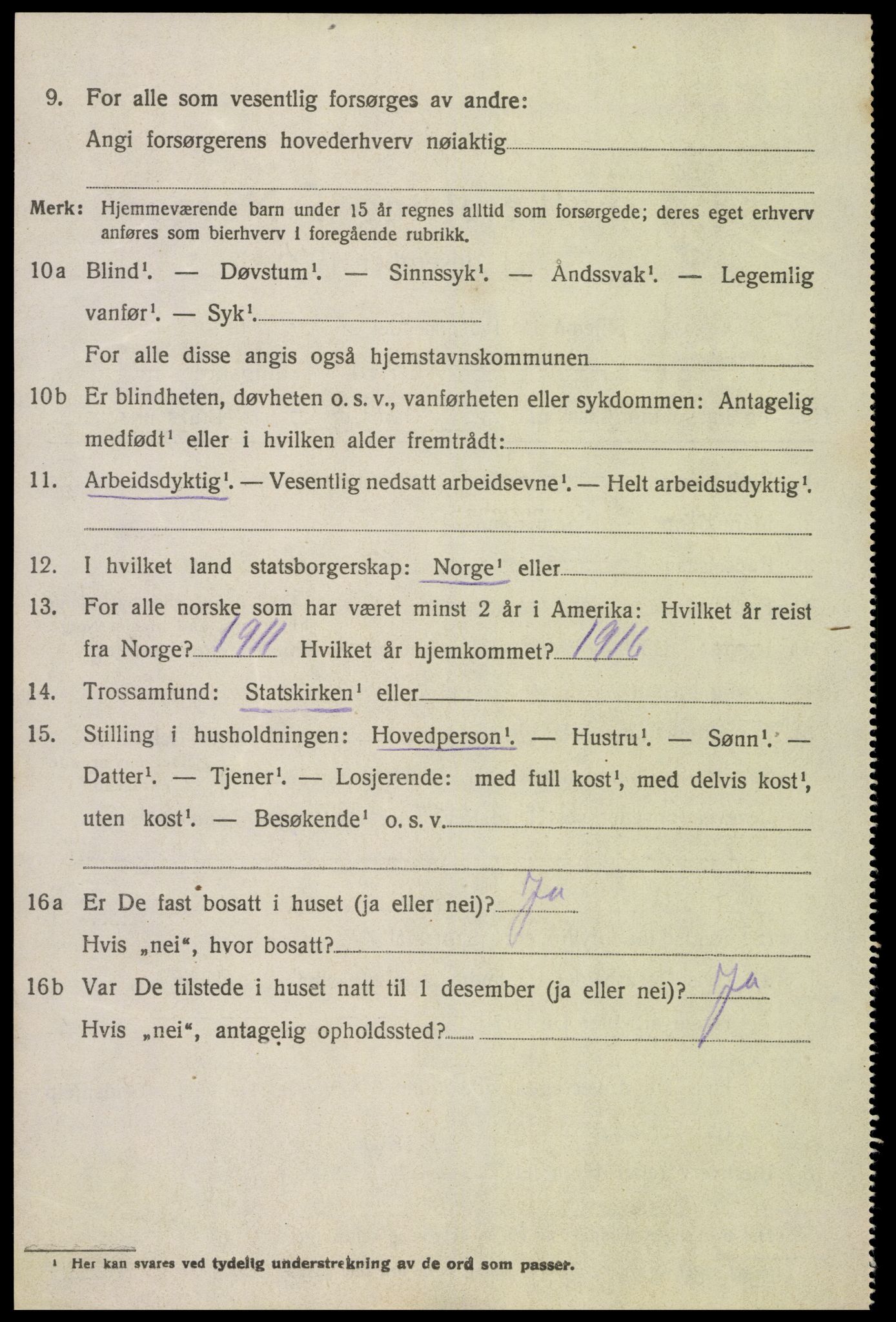 SAK, Folketelling 1920 for 0936 Hornnes herred, 1920, s. 960