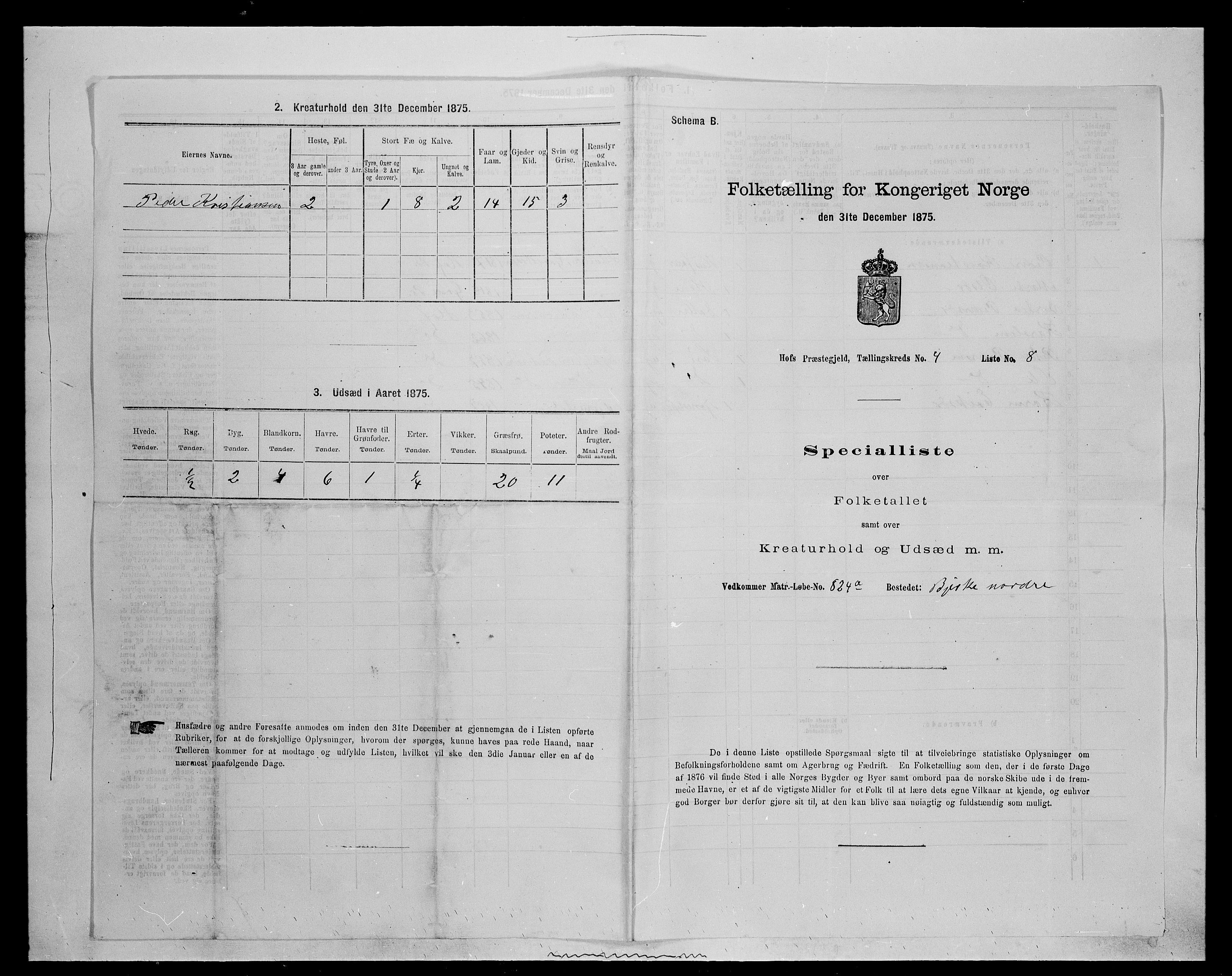 SAH, Folketelling 1875 for 0424P Hof prestegjeld, 1875, s. 696