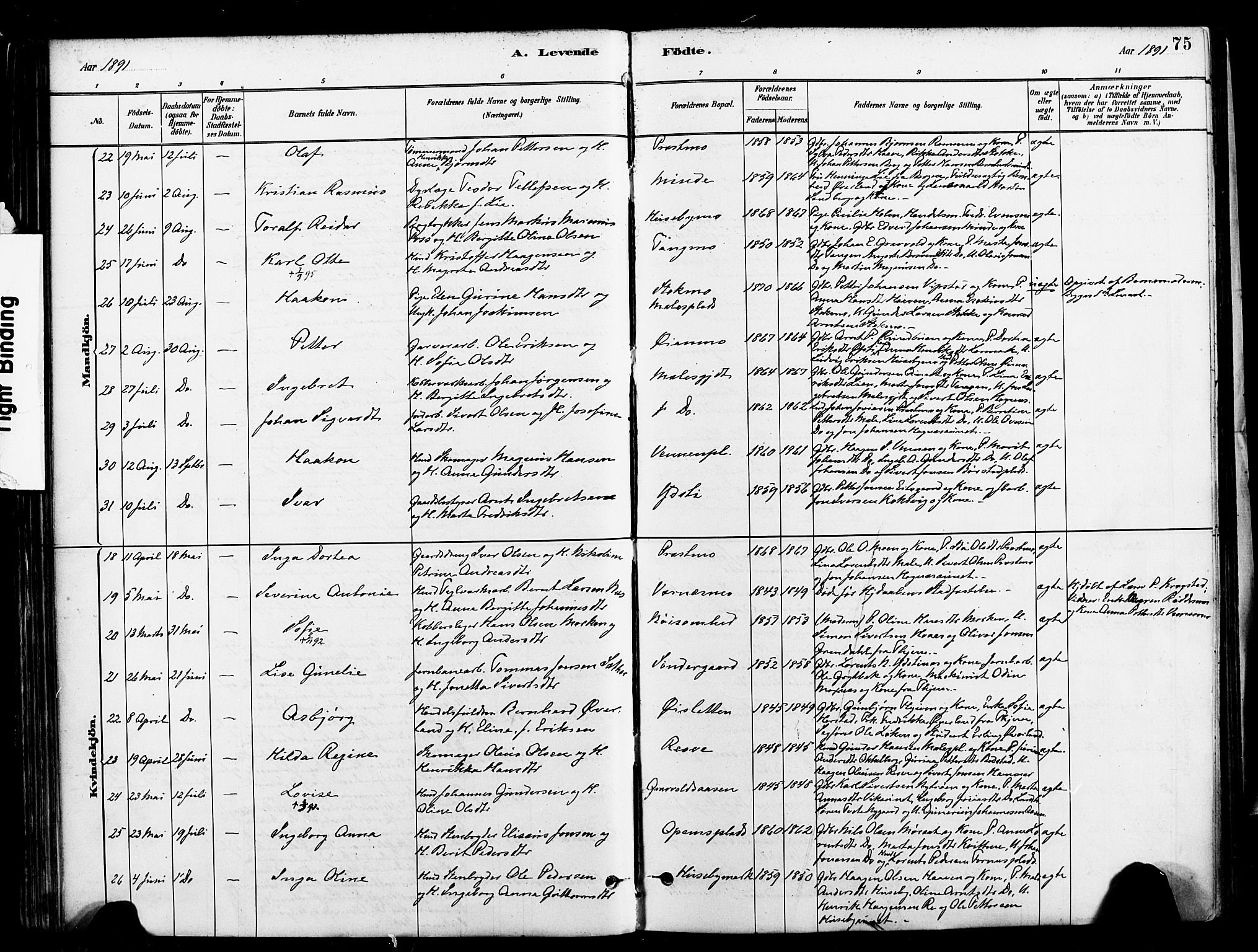 Ministerialprotokoller, klokkerbøker og fødselsregistre - Nord-Trøndelag, SAT/A-1458/709/L0077: Ministerialbok nr. 709A17, 1880-1895, s. 75