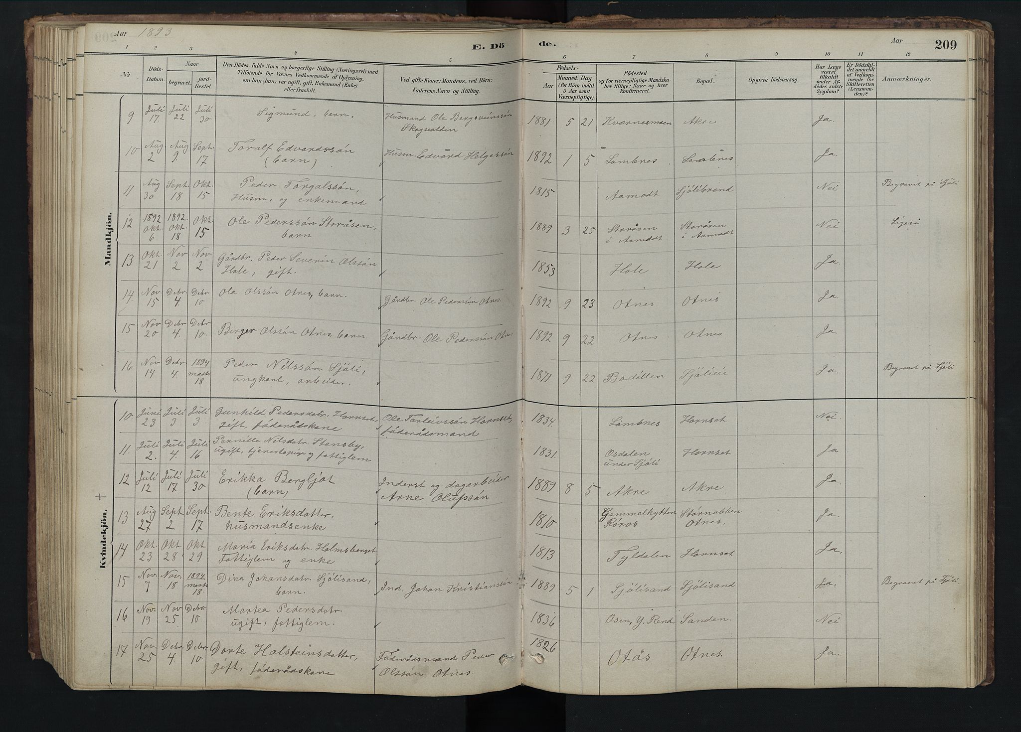 Rendalen prestekontor, SAH/PREST-054/H/Ha/Hab/L0009: Klokkerbok nr. 9, 1879-1902, s. 209