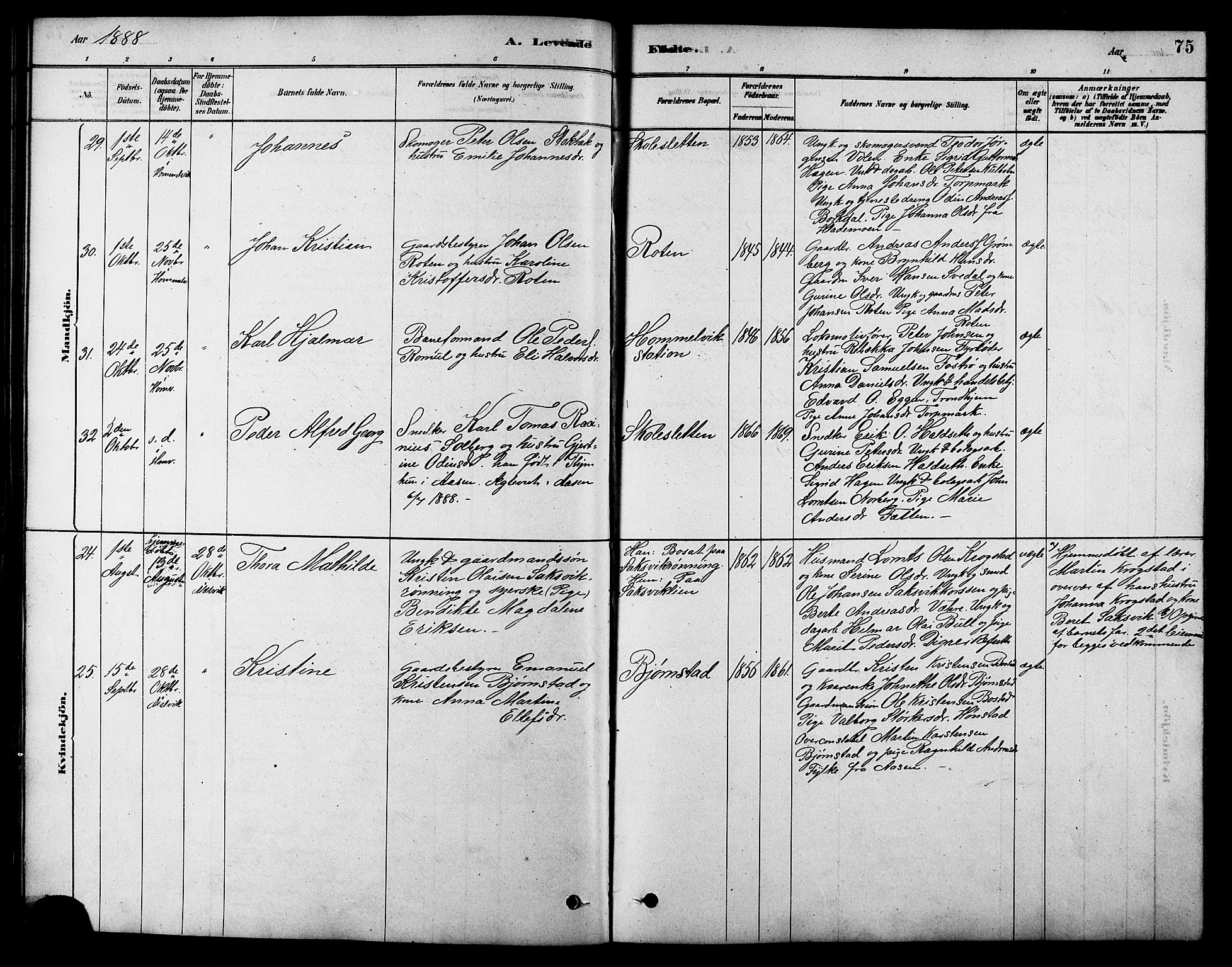 Ministerialprotokoller, klokkerbøker og fødselsregistre - Sør-Trøndelag, AV/SAT-A-1456/616/L0423: Klokkerbok nr. 616C06, 1878-1903, s. 75