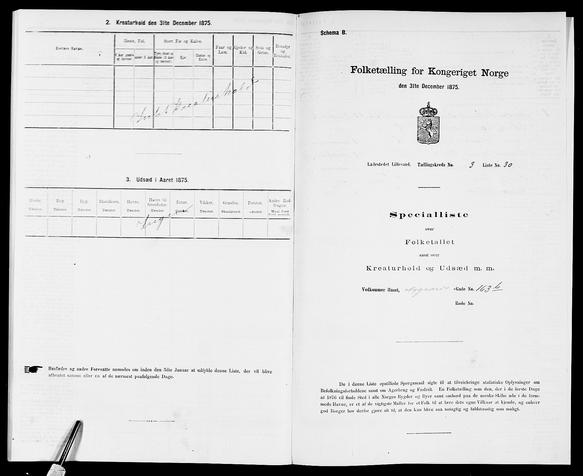 SAK, Folketelling 1875 for 0905B Vestre Moland prestegjeld, Lillesand ladested, 1875, s. 264