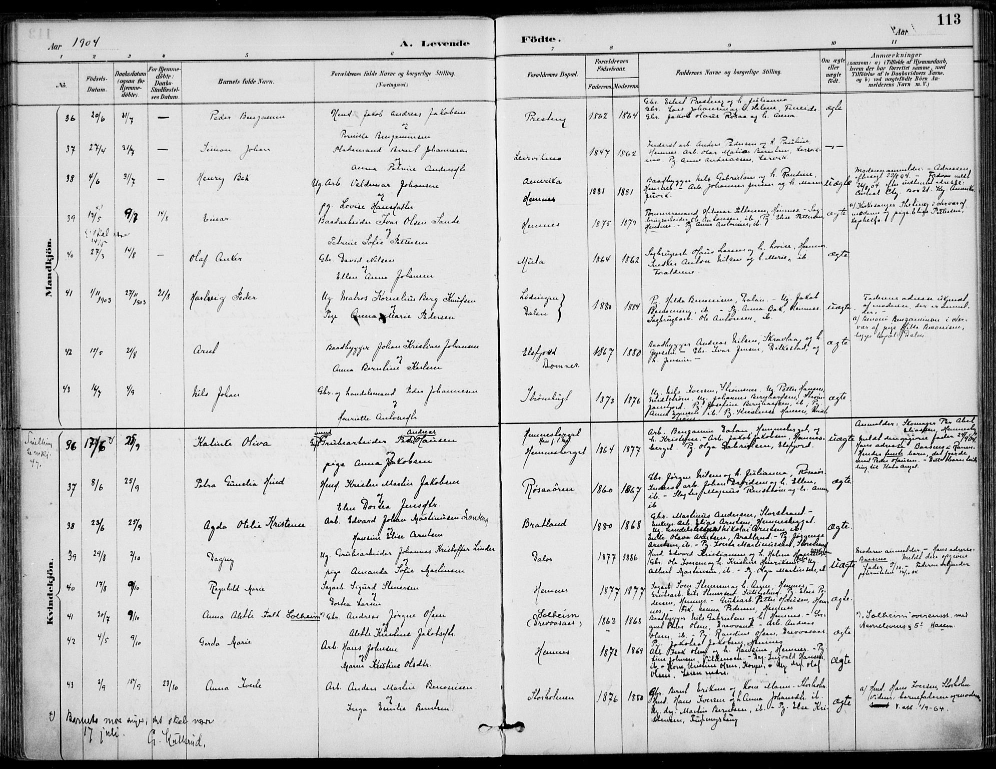 Ministerialprotokoller, klokkerbøker og fødselsregistre - Nordland, AV/SAT-A-1459/825/L0362: Ministerialbok nr. 825A16, 1886-1908, s. 113