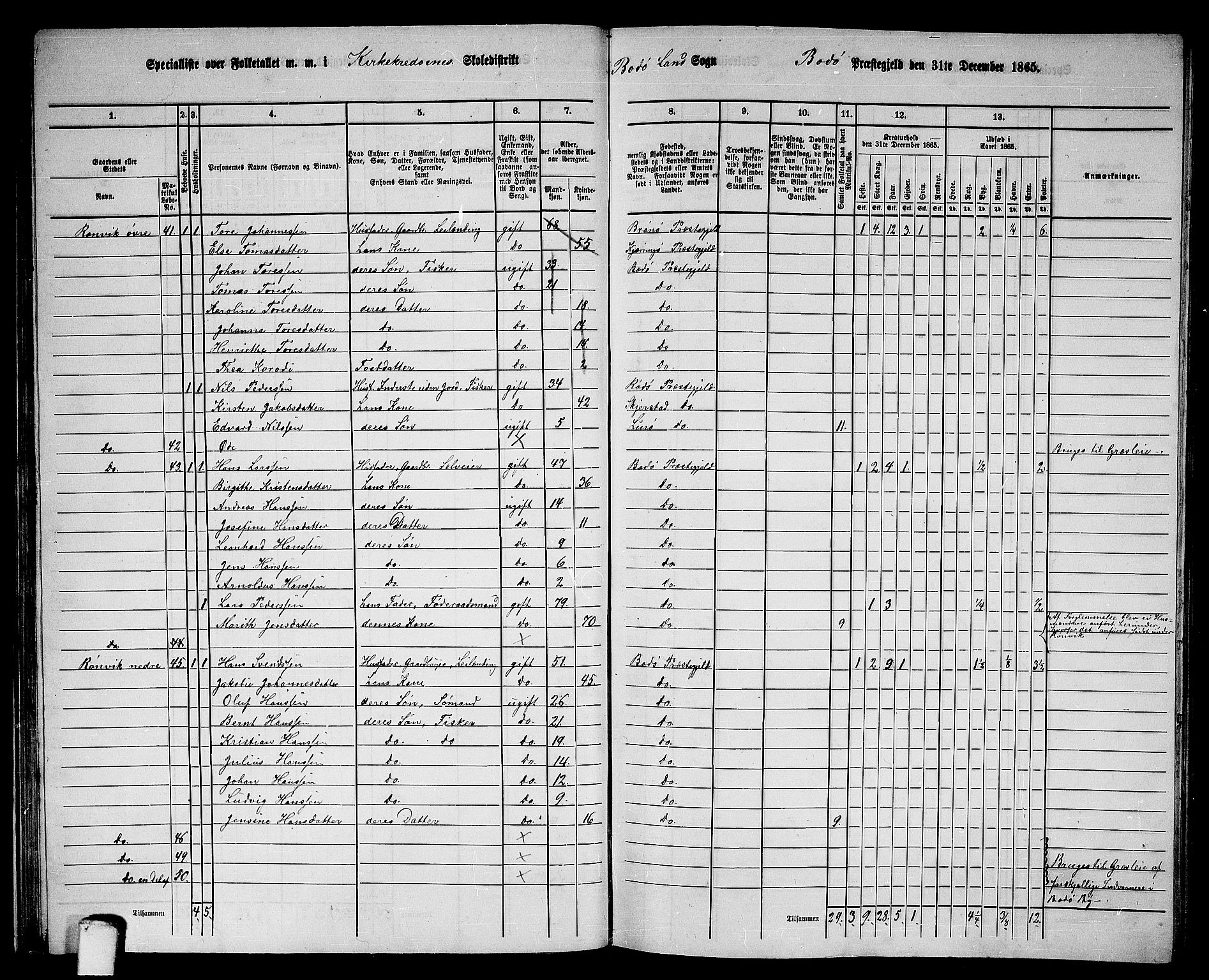 RA, Folketelling 1865 for 1843L Bodø prestegjeld, Bodø landsokn, 1865, s. 34