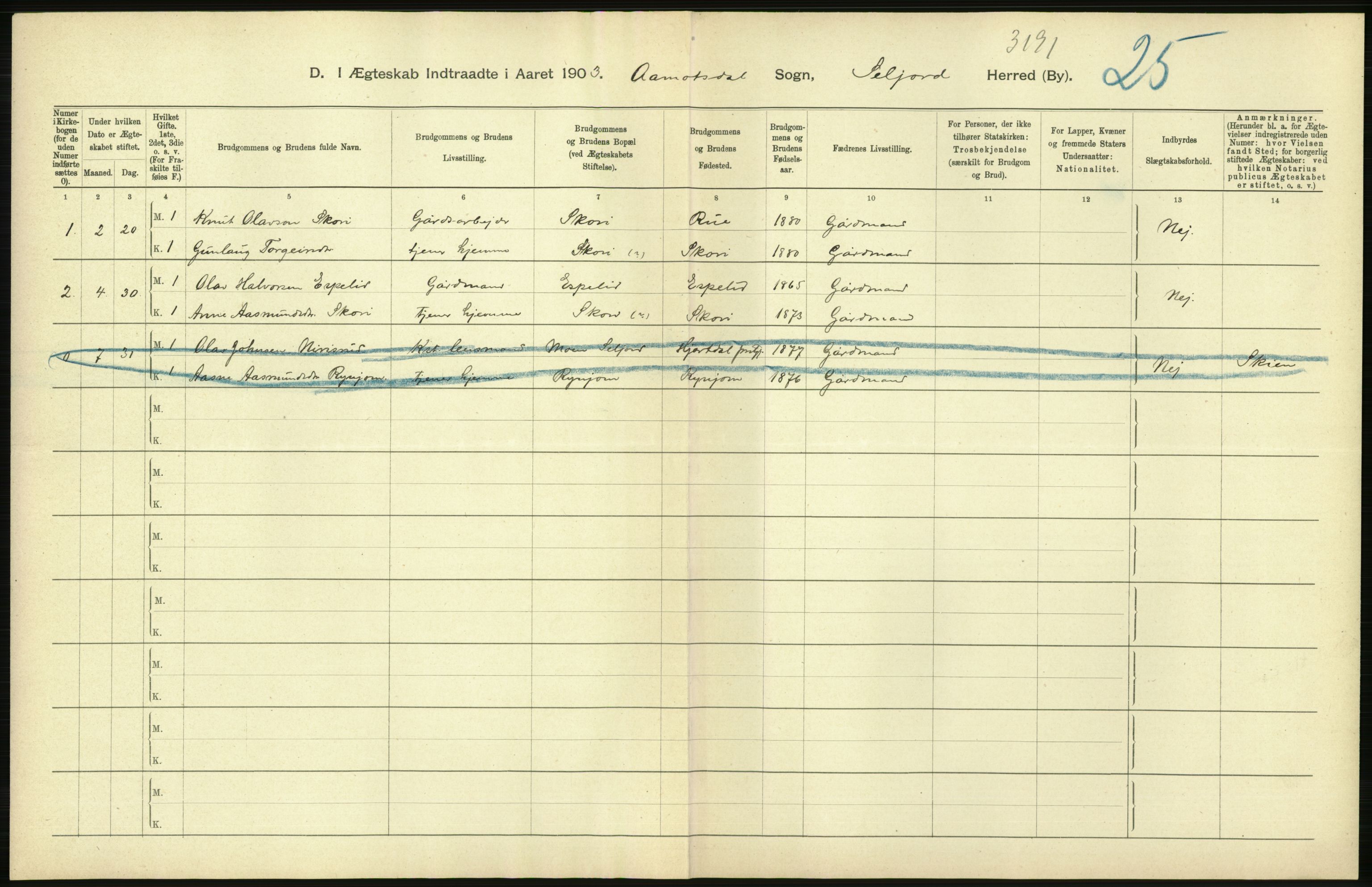 Statistisk sentralbyrå, Sosiodemografiske emner, Befolkning, AV/RA-S-2228/D/Df/Dfa/Dfaa/L0009: Bratsberg amt: Fødte, gifte, døde, 1903, s. 386