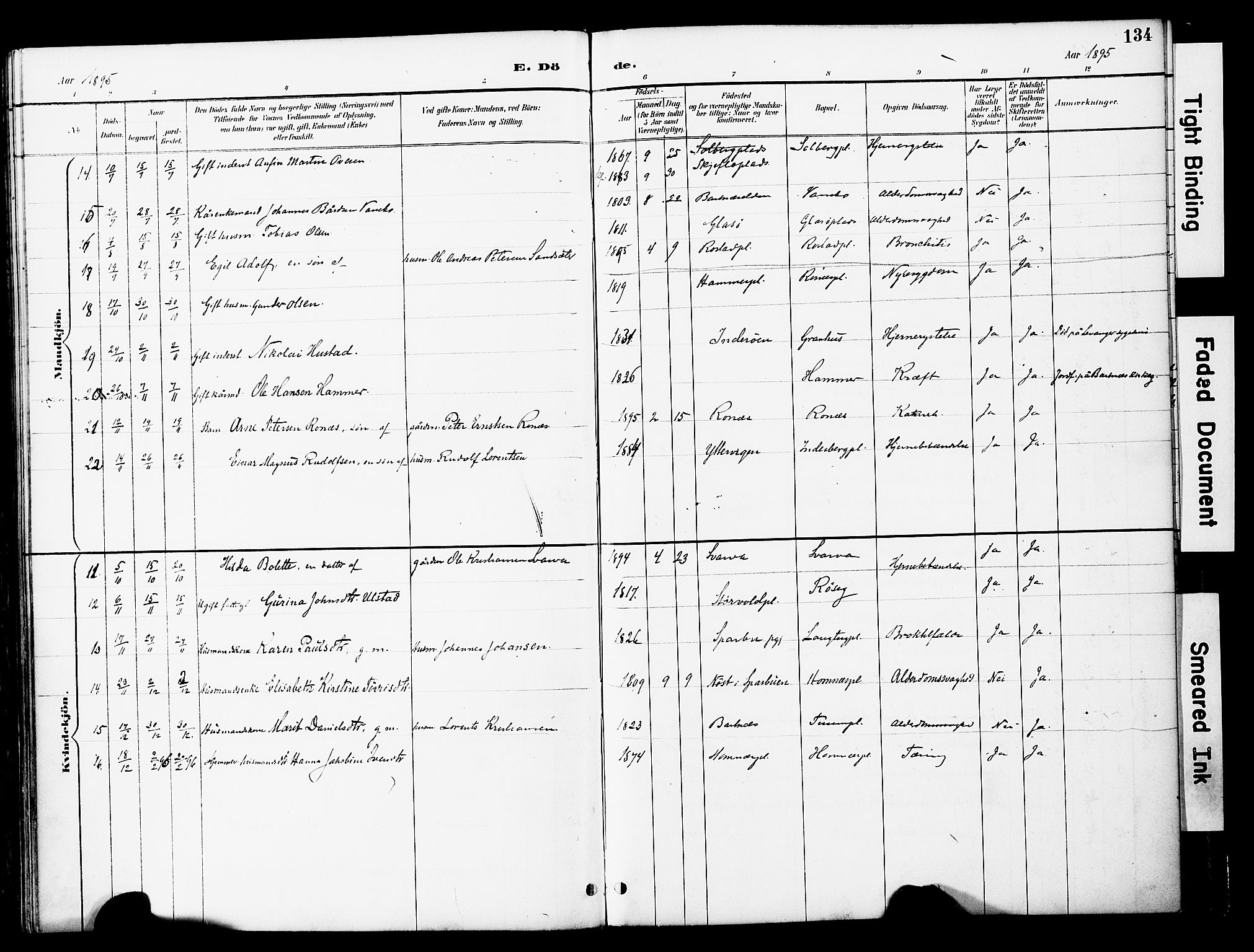 Ministerialprotokoller, klokkerbøker og fødselsregistre - Nord-Trøndelag, SAT/A-1458/741/L0396: Ministerialbok nr. 741A10, 1889-1901, s. 134