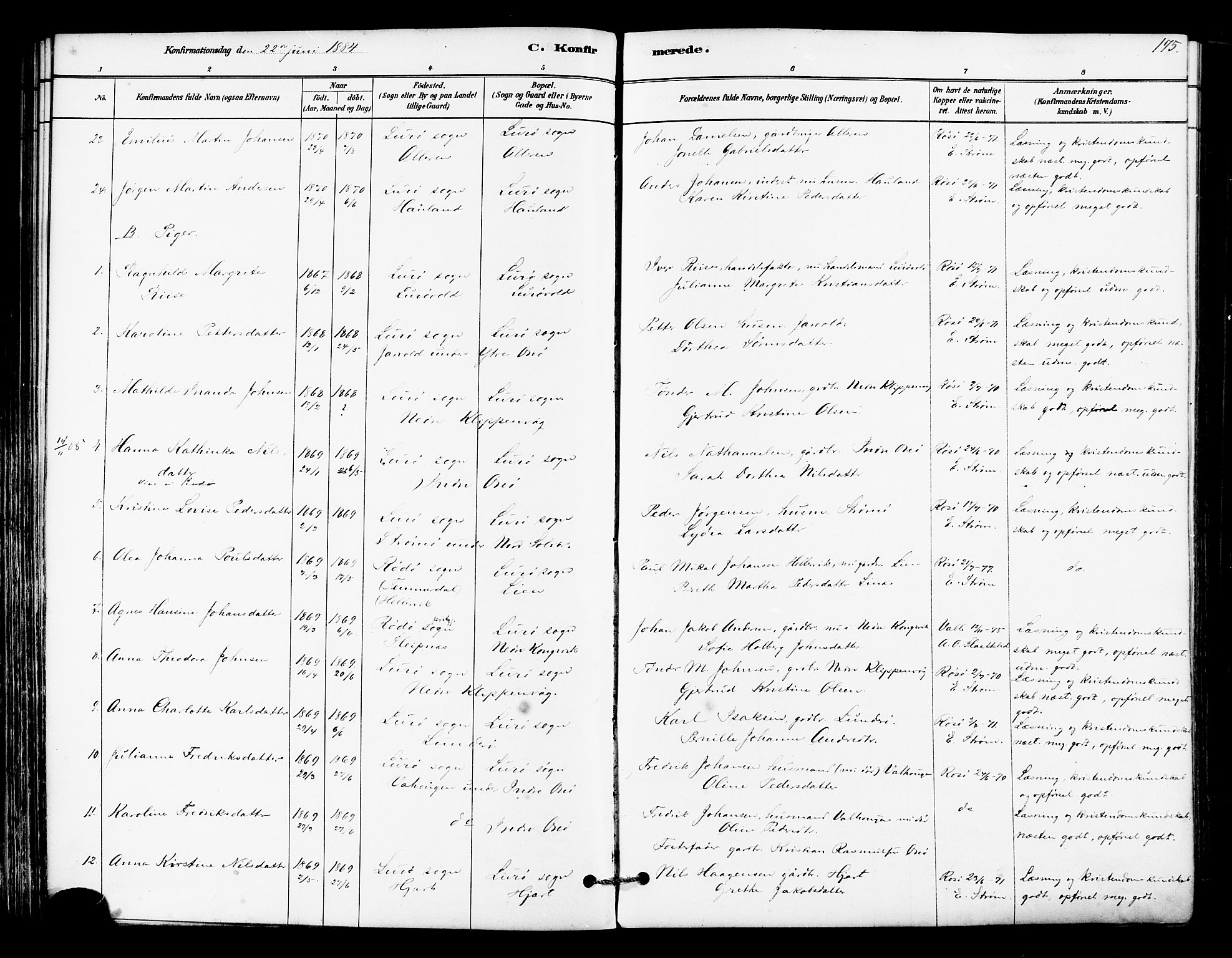 Ministerialprotokoller, klokkerbøker og fødselsregistre - Nordland, SAT/A-1459/839/L0568: Ministerialbok nr. 839A05, 1880-1902, s. 175
