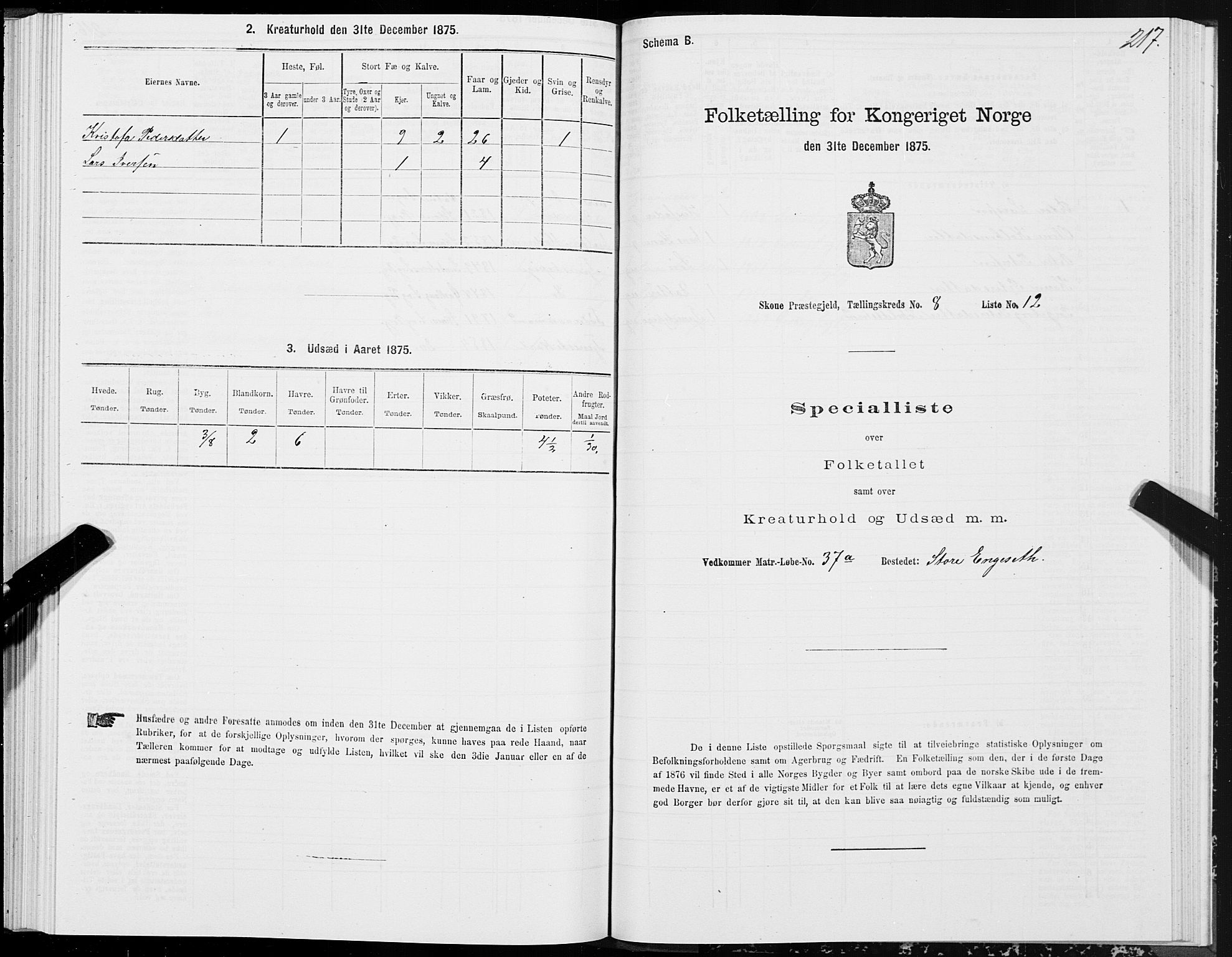 SAT, Folketelling 1875 for 1529P Skodje prestegjeld, 1875, s. 2217