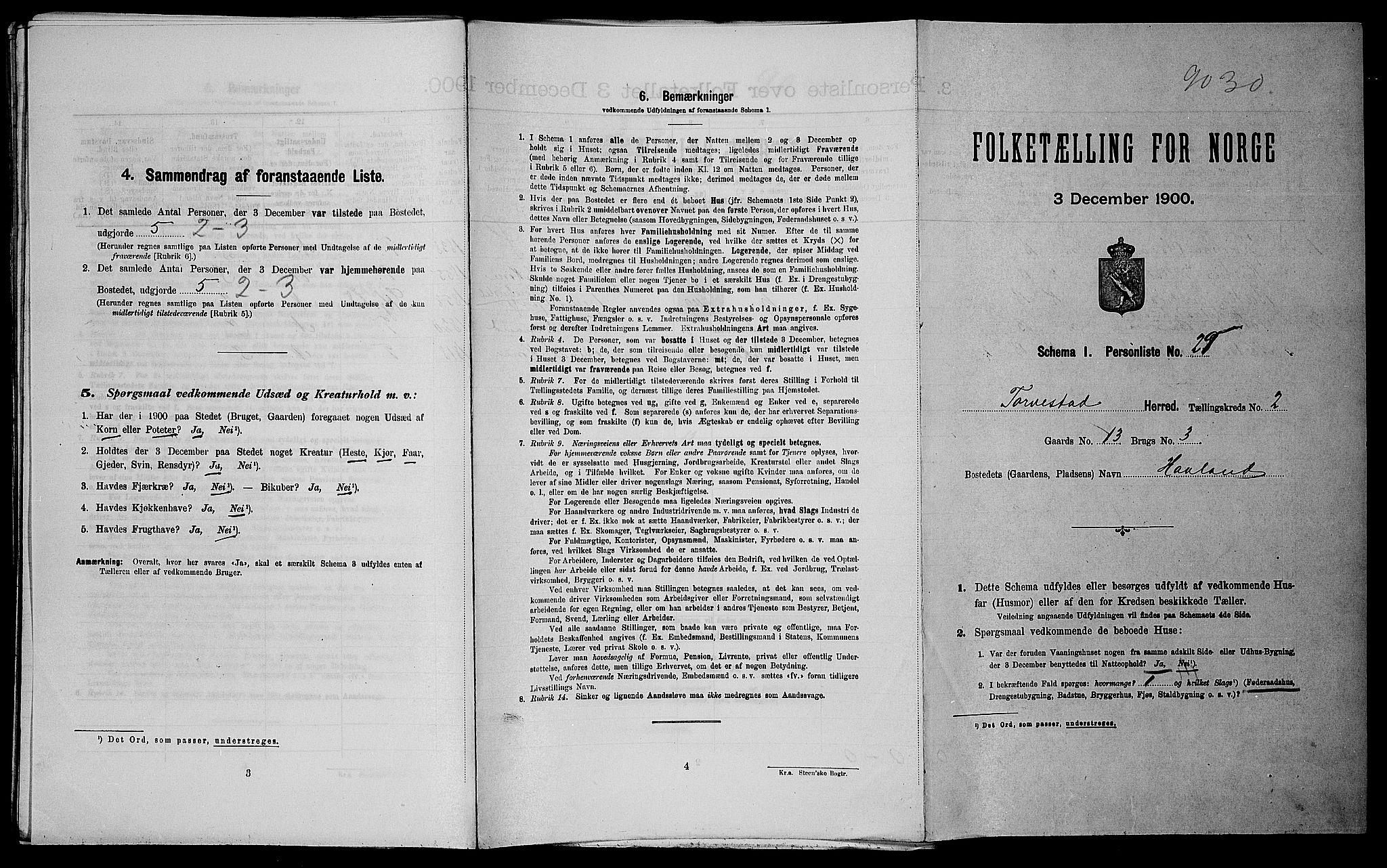 SAST, Folketelling 1900 for 1152 Torvastad herred, 1900, s. 300