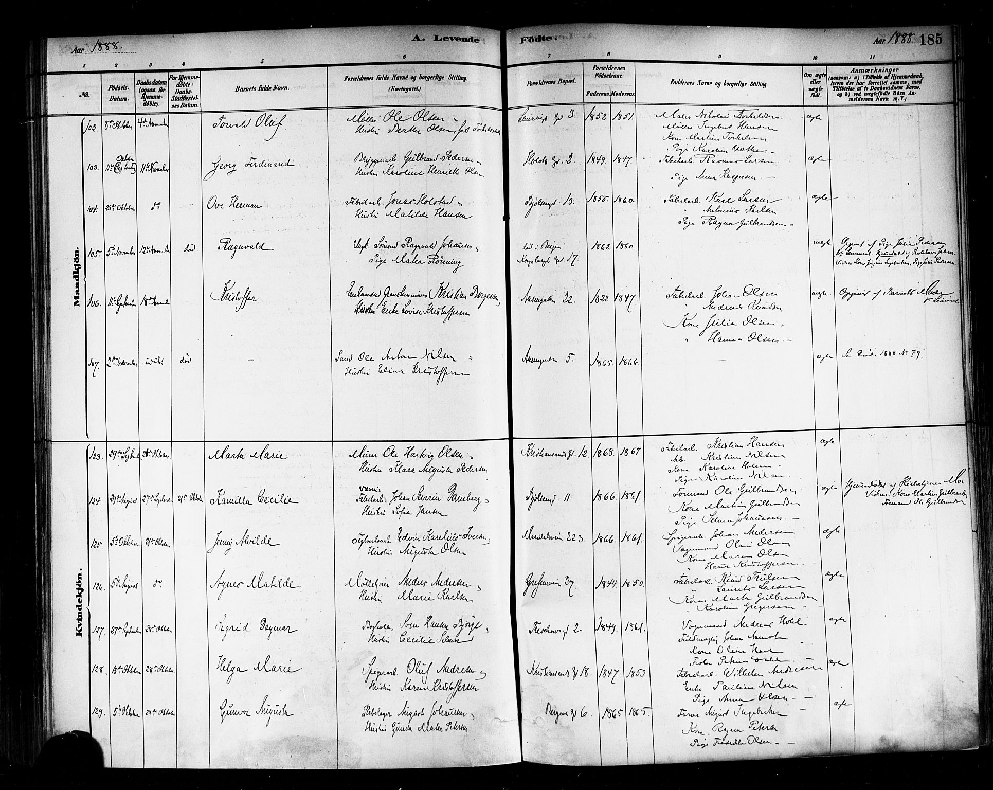 Sagene prestekontor Kirkebøker, AV/SAO-A-10796/F/L0001: Ministerialbok nr. 1, 1880-1893, s. 185