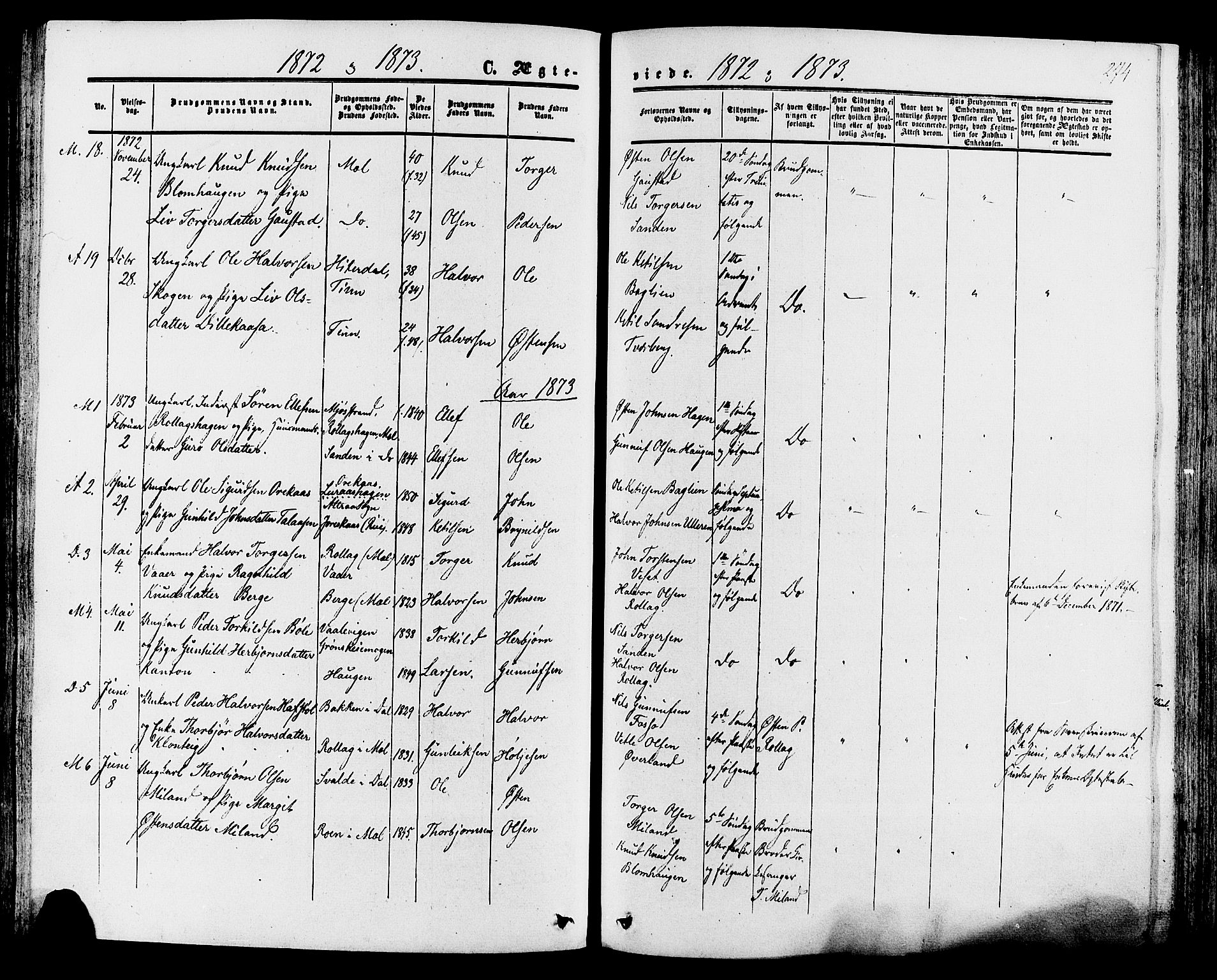 Tinn kirkebøker, AV/SAKO-A-308/F/Fa/L0006: Ministerialbok nr. I 6, 1857-1878, s. 274