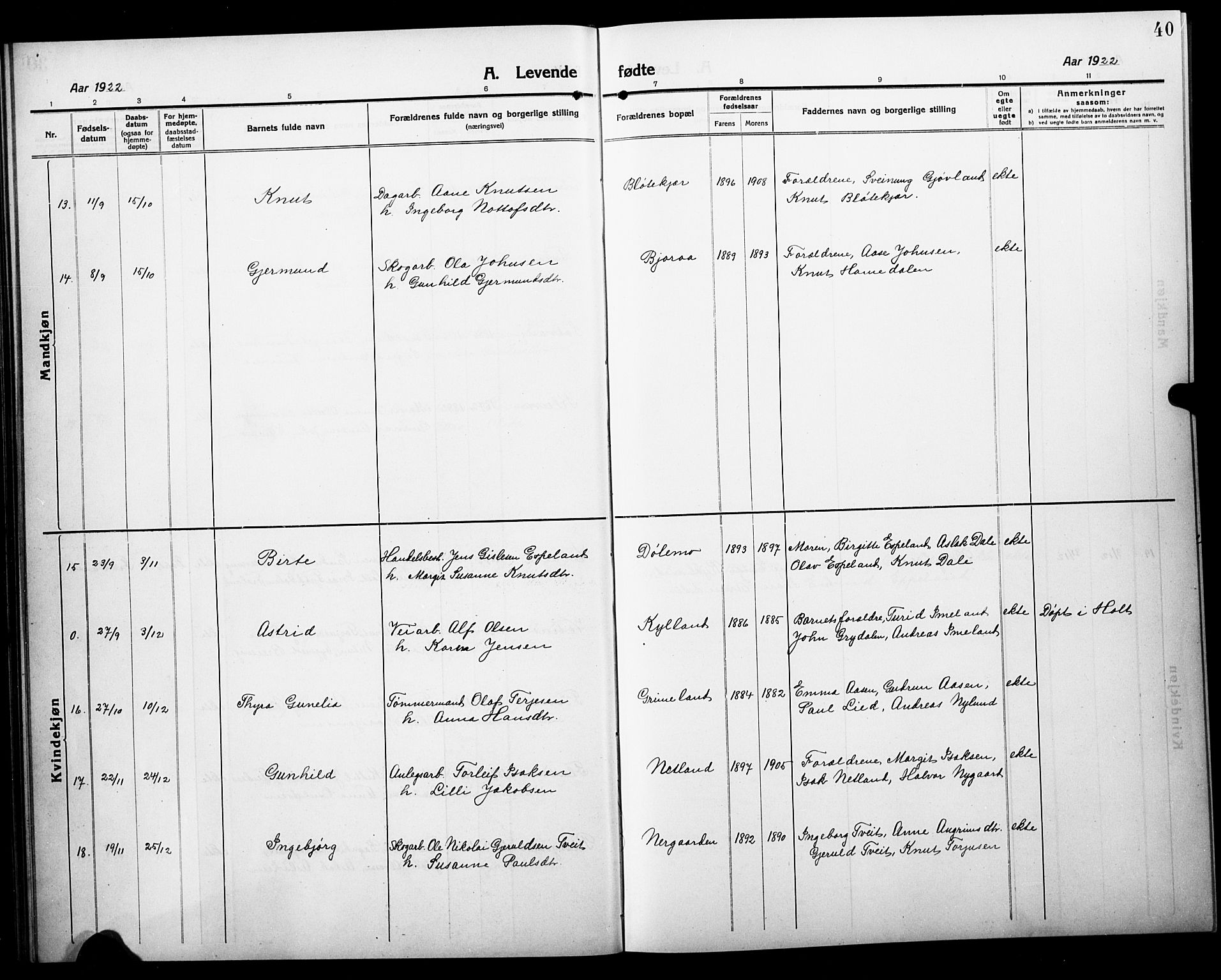 Åmli sokneprestkontor, AV/SAK-1111-0050/F/Fb/Fbc/L0006: Klokkerbok nr. B 6, 1915-1929, s. 40