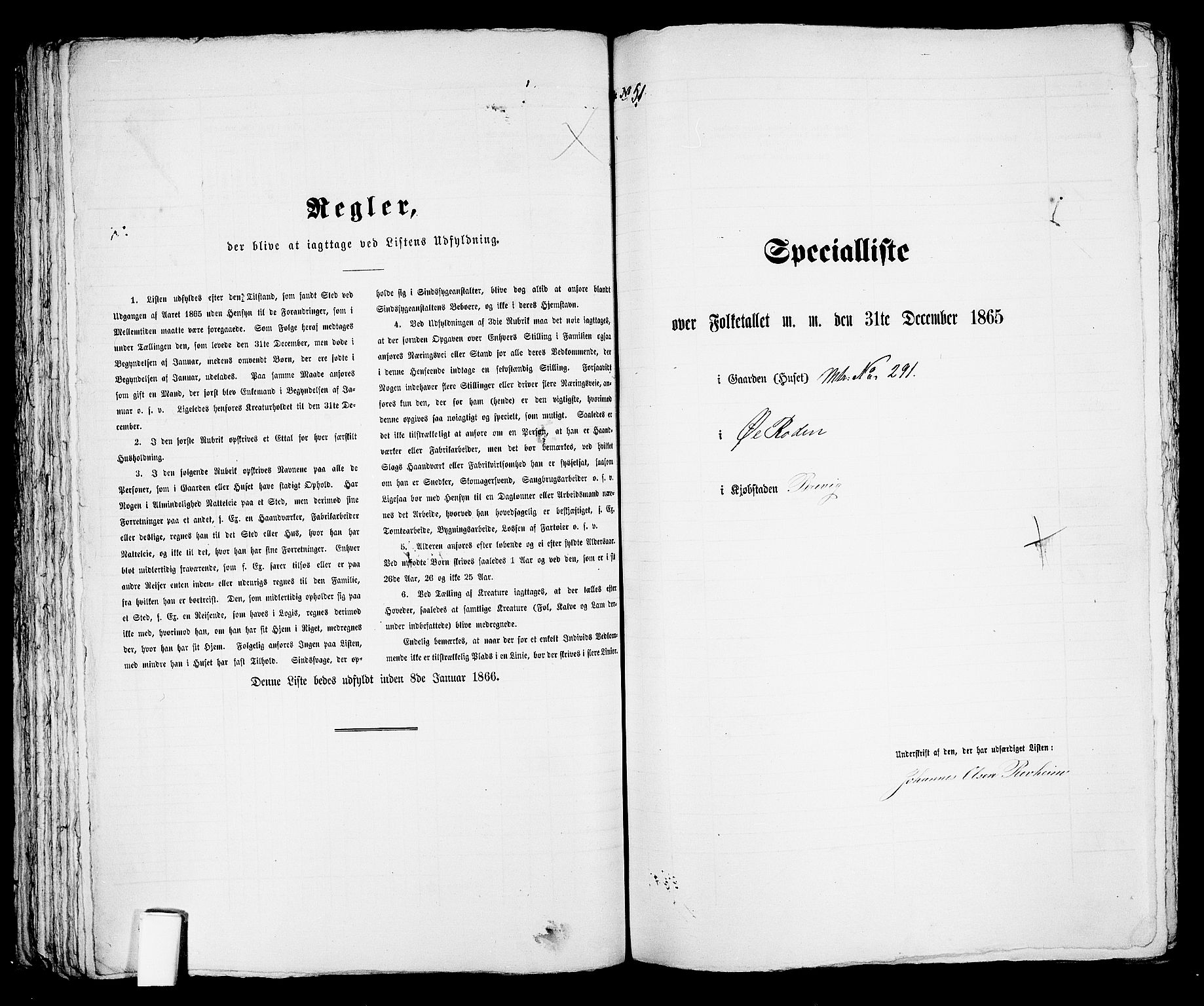 RA, Folketelling 1865 for 0804P Brevik prestegjeld, 1865, s. 110
