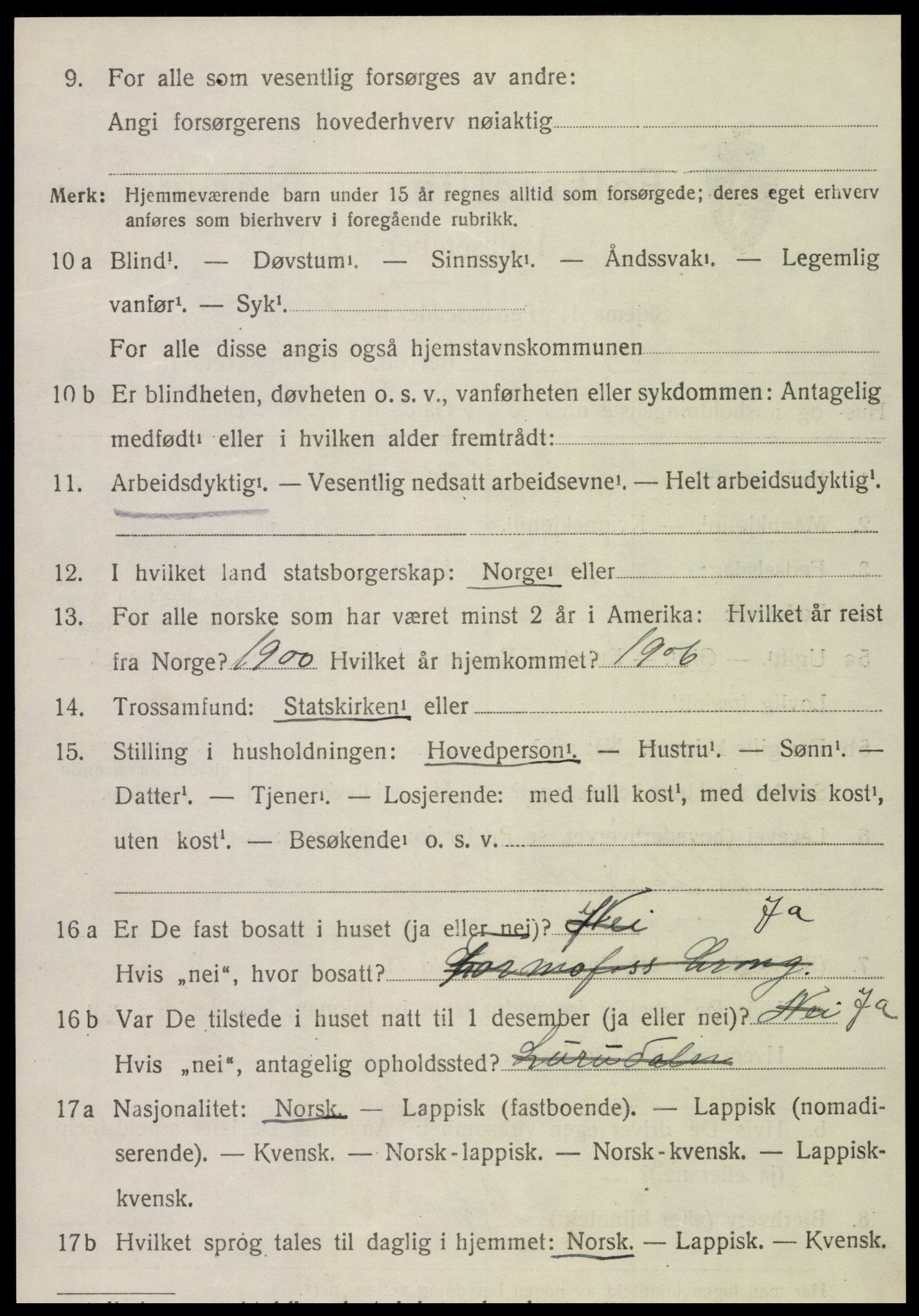 SAT, Folketelling 1920 for 1736 Snåsa herred, 1920, s. 4447