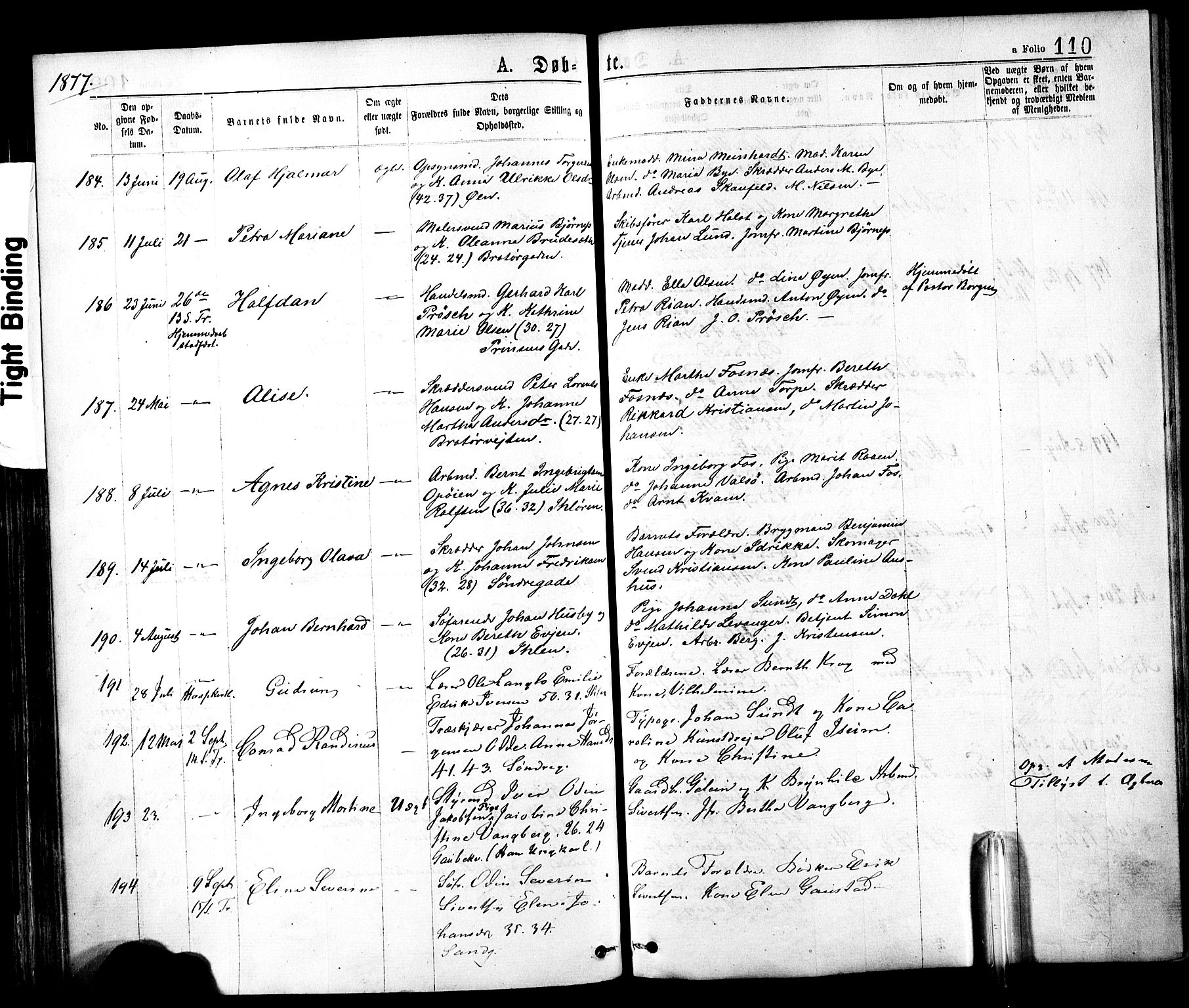 Ministerialprotokoller, klokkerbøker og fødselsregistre - Sør-Trøndelag, SAT/A-1456/602/L0118: Ministerialbok nr. 602A16, 1873-1879, s. 110