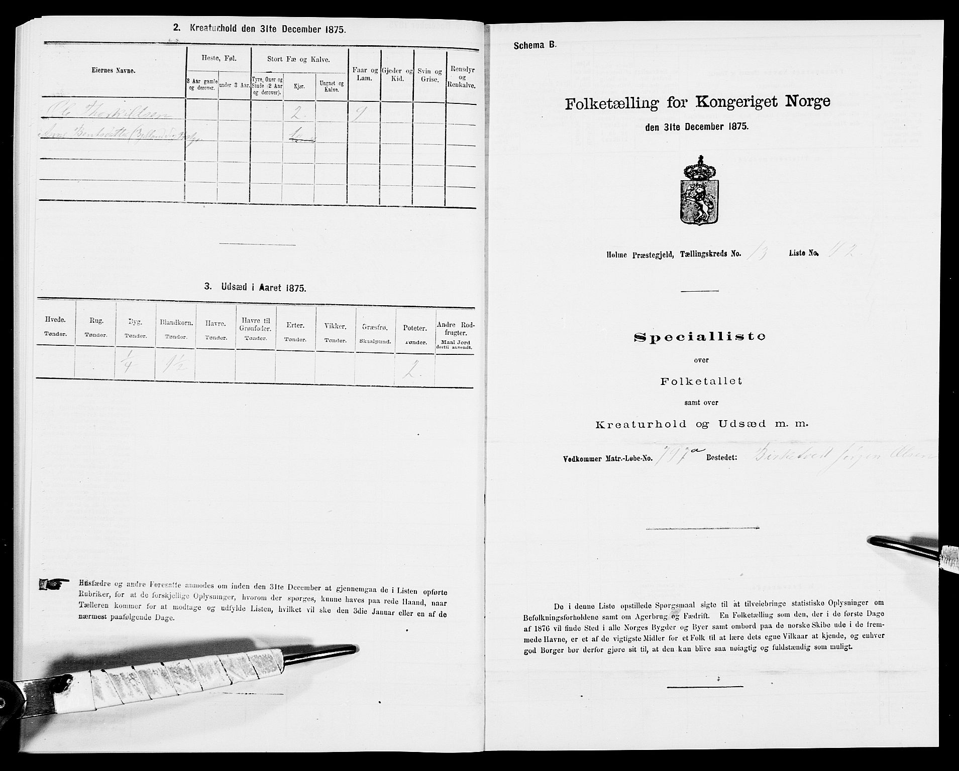 SAK, Folketelling 1875 for 1020P Holum prestegjeld, 1875, s. 1408