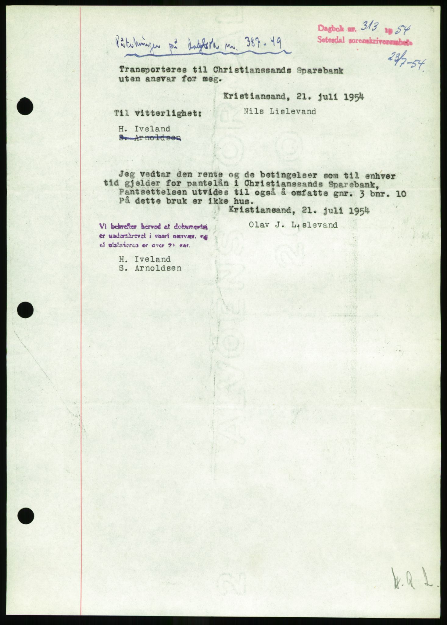 Setesdal sorenskriveri, SAK/1221-0011/G/Gb/L0052: Pantebok nr. B 40, 1954-1955, Dagboknr: 313/1954