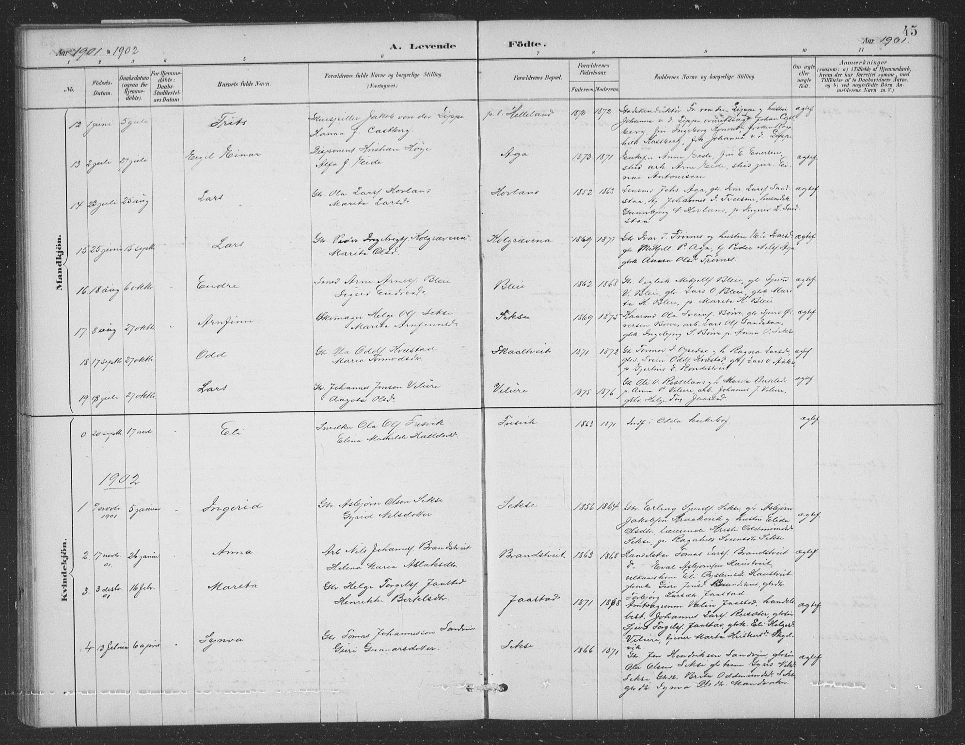 Ullensvang sokneprestembete, AV/SAB-A-78701/H/Hab: Klokkerbok nr. B 11, 1887-1939, s. 45