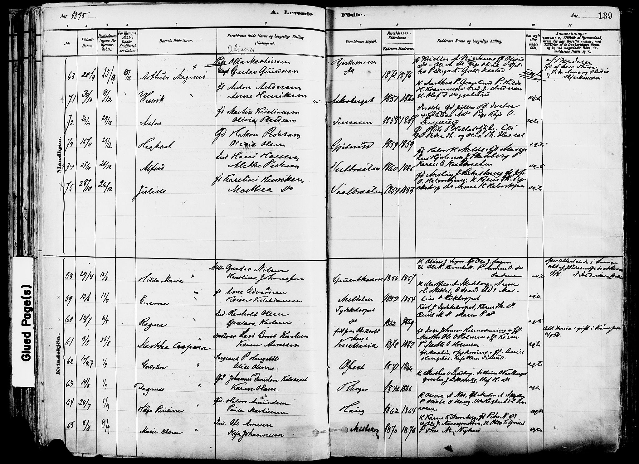 Grue prestekontor, AV/SAH-PREST-036/H/Ha/Haa/L0012: Ministerialbok nr. 12, 1881-1897, s. 139