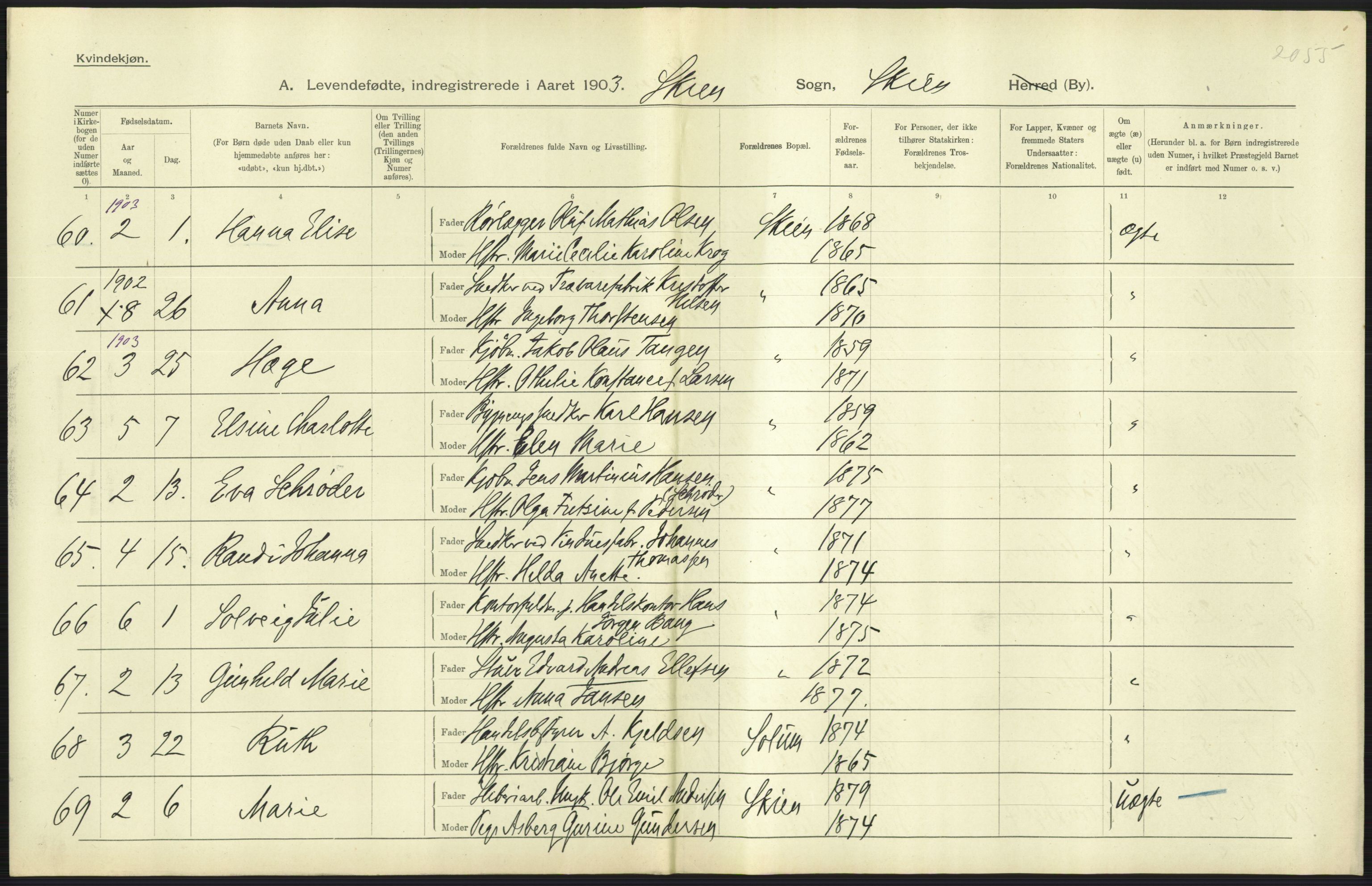 Statistisk sentralbyrå, Sosiodemografiske emner, Befolkning, AV/RA-S-2228/D/Df/Dfa/Dfaa/L0009: Bratsberg amt: Fødte, gifte, døde, 1903, s. 299