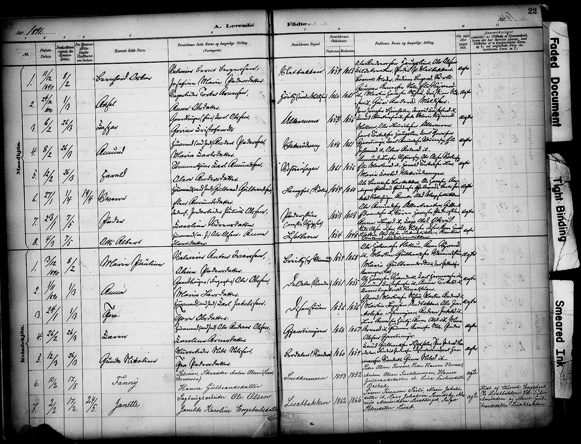 Sør-Odal prestekontor, AV/SAH-PREST-030/H/Ha/Haa/L0008: Ministerialbok nr. 8, 1886-1922, s. 22