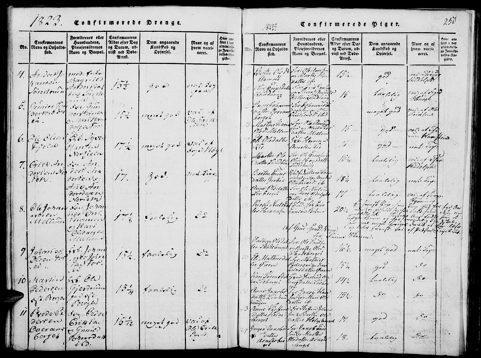 Grue prestekontor, AV/SAH-PREST-036/H/Ha/Hab/L0001: Klokkerbok nr. 1, 1814-1841, s. 250