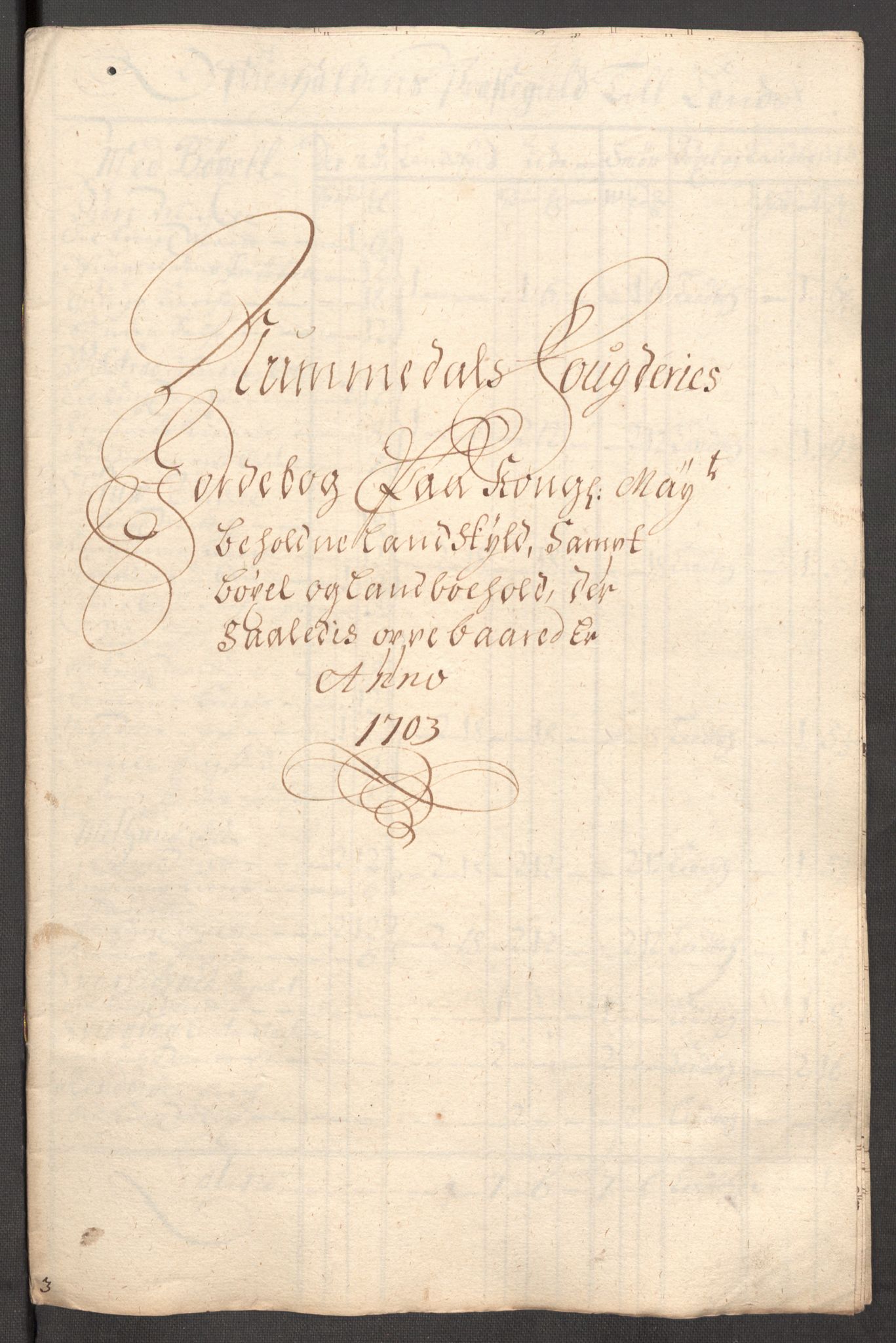 Rentekammeret inntil 1814, Reviderte regnskaper, Fogderegnskap, AV/RA-EA-4092/R64/L4428: Fogderegnskap Namdal, 1703-1704, s. 101