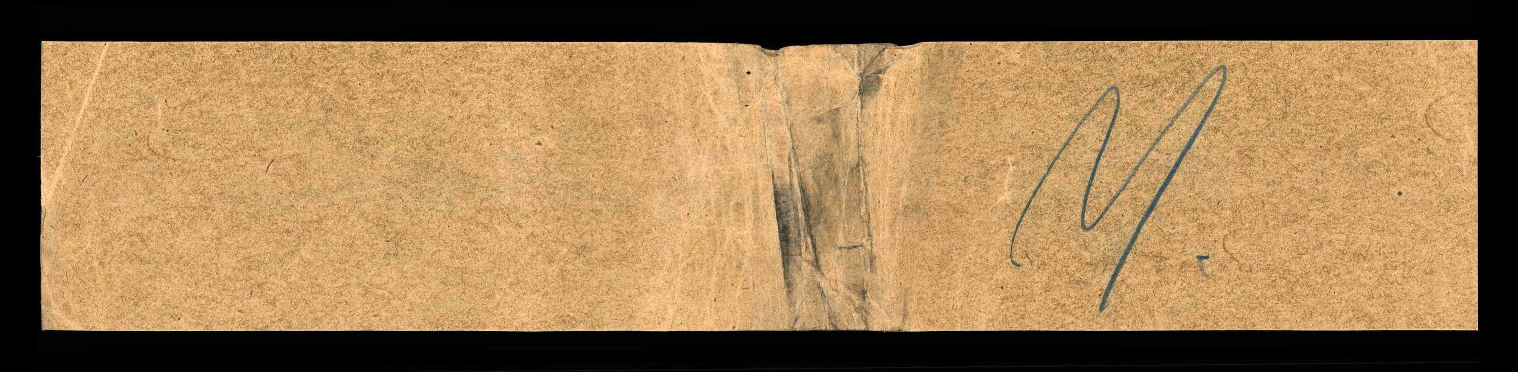 RA, Folketelling 1910 for 1043 Nes herred, 1910, s. 489