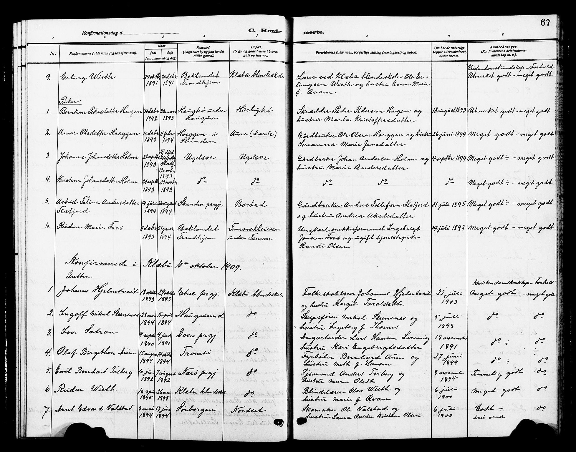 Ministerialprotokoller, klokkerbøker og fødselsregistre - Sør-Trøndelag, SAT/A-1456/618/L0453: Klokkerbok nr. 618C04, 1907-1925, s. 67