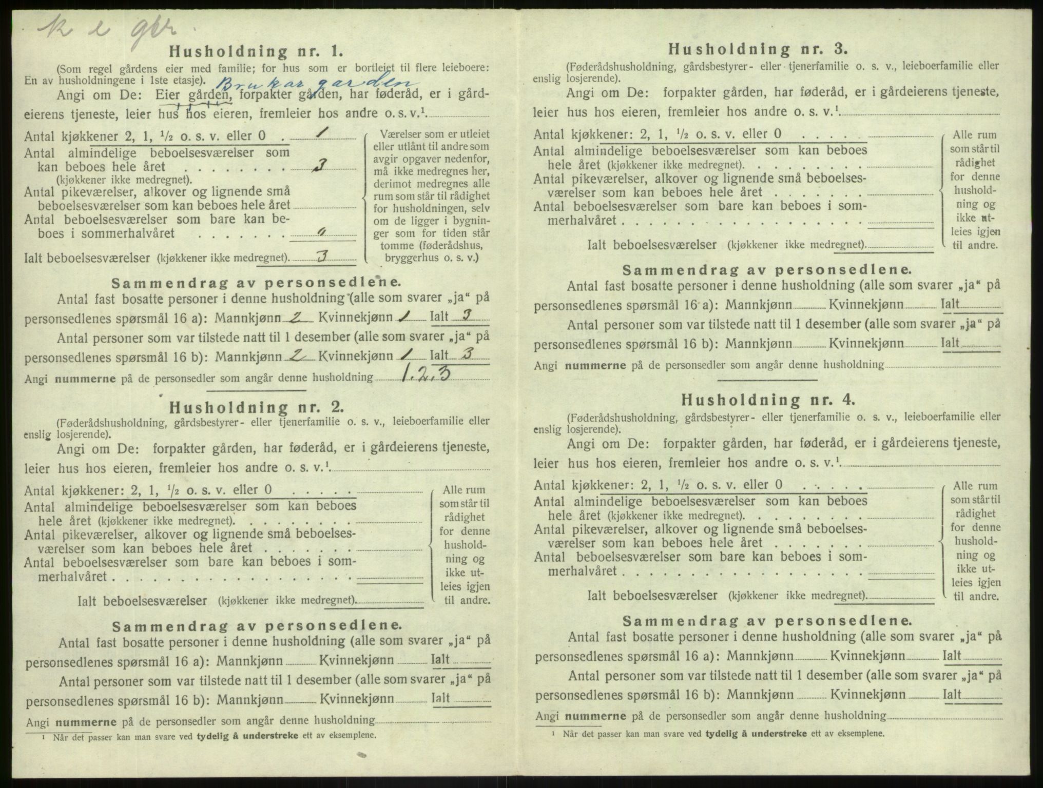 SAB, Folketelling 1920 for 1426 Luster herred, 1920, s. 893