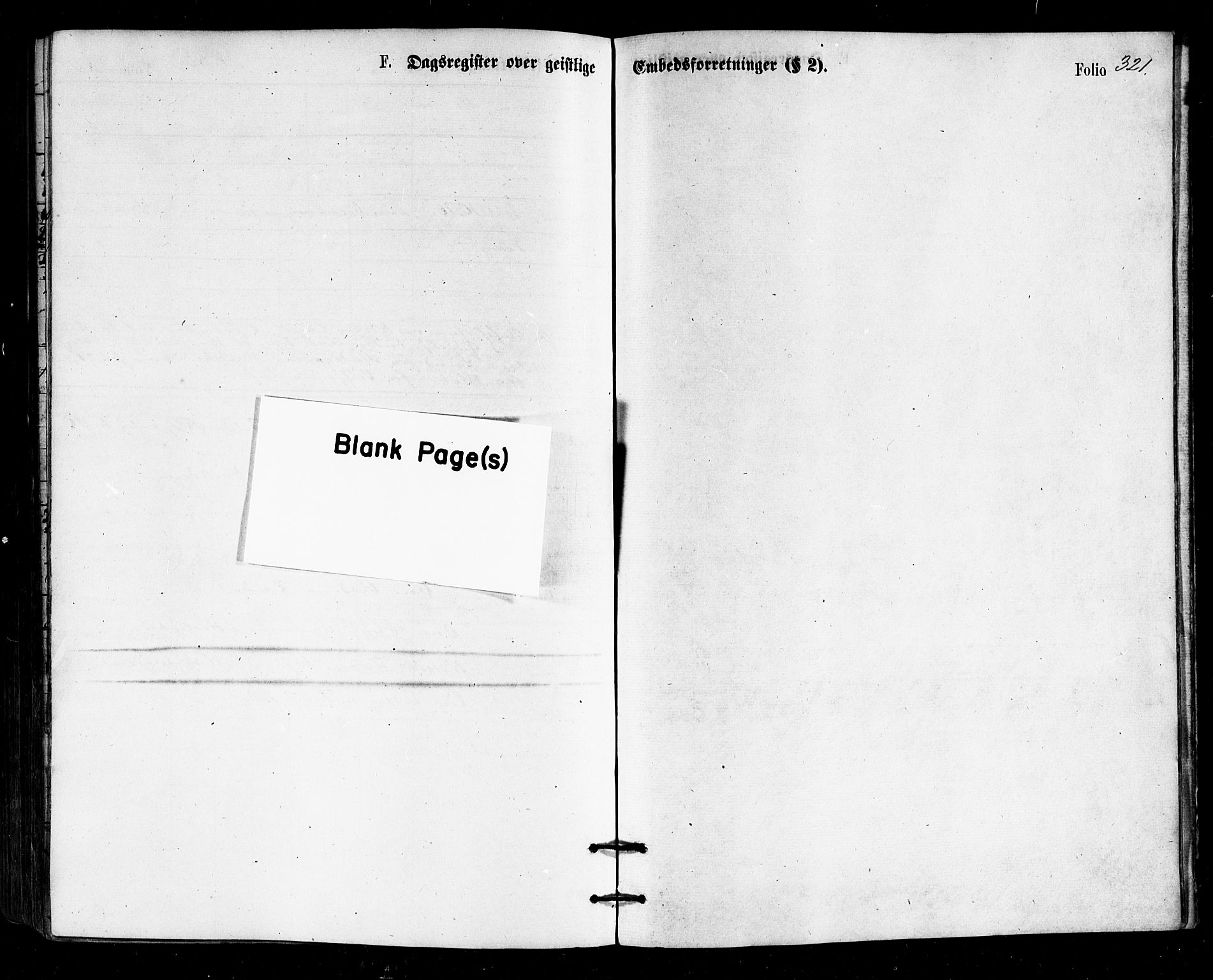 Ministerialprotokoller, klokkerbøker og fødselsregistre - Nordland, AV/SAT-A-1459/813/L0199: Ministerialbok nr. 813A09, 1875-1885, s. 321