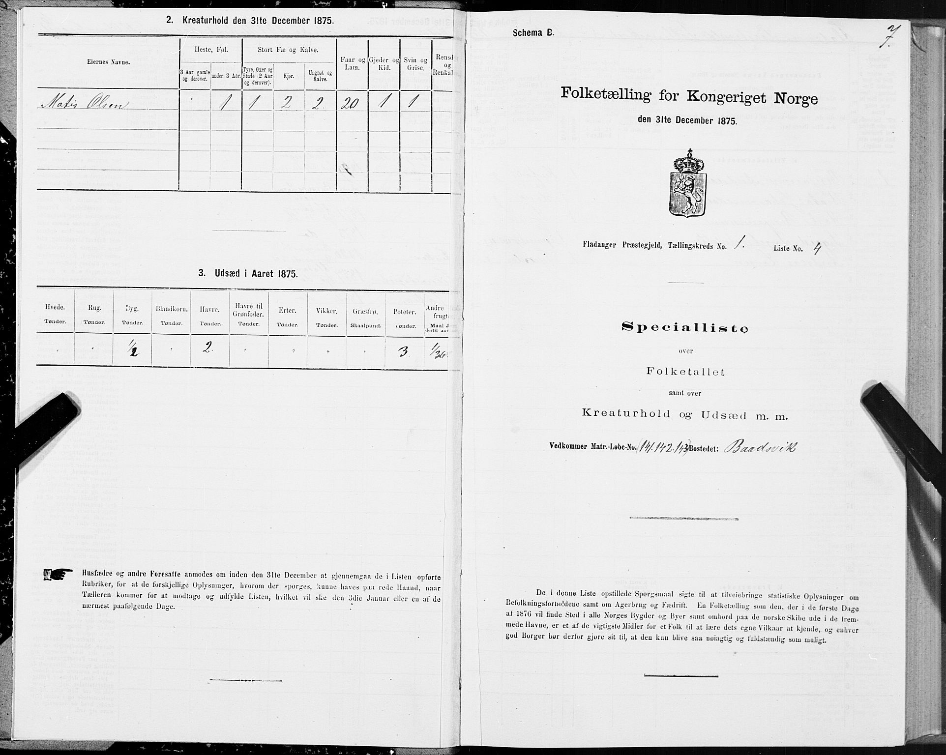 SAT, Folketelling 1875 for 1749P Flatanger prestegjeld, 1875, s. 1007