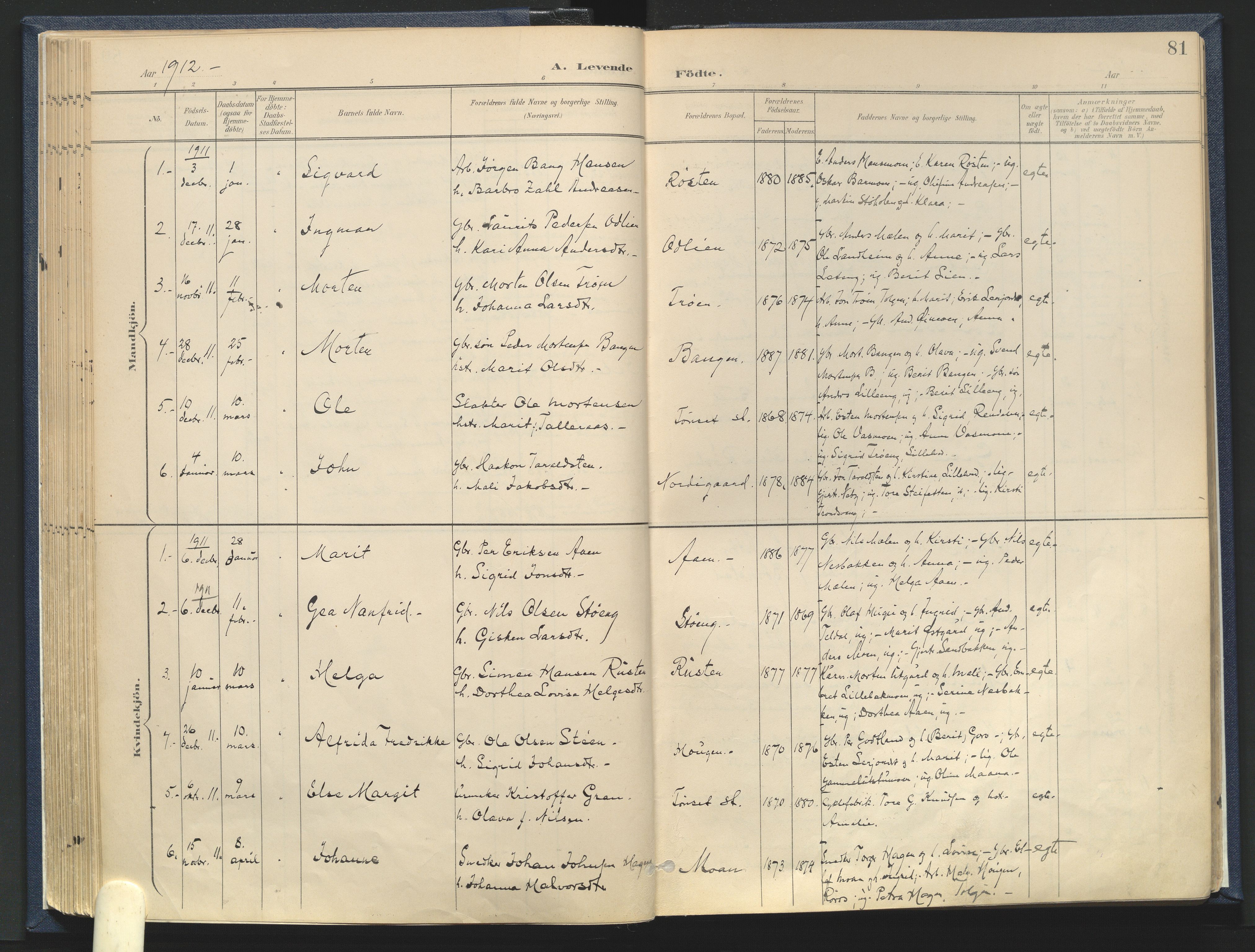Tynset prestekontor, AV/SAH-PREST-058/H/Ha/Haa/L0025: Ministerialbok nr. 25, 1900-1914, s. 81