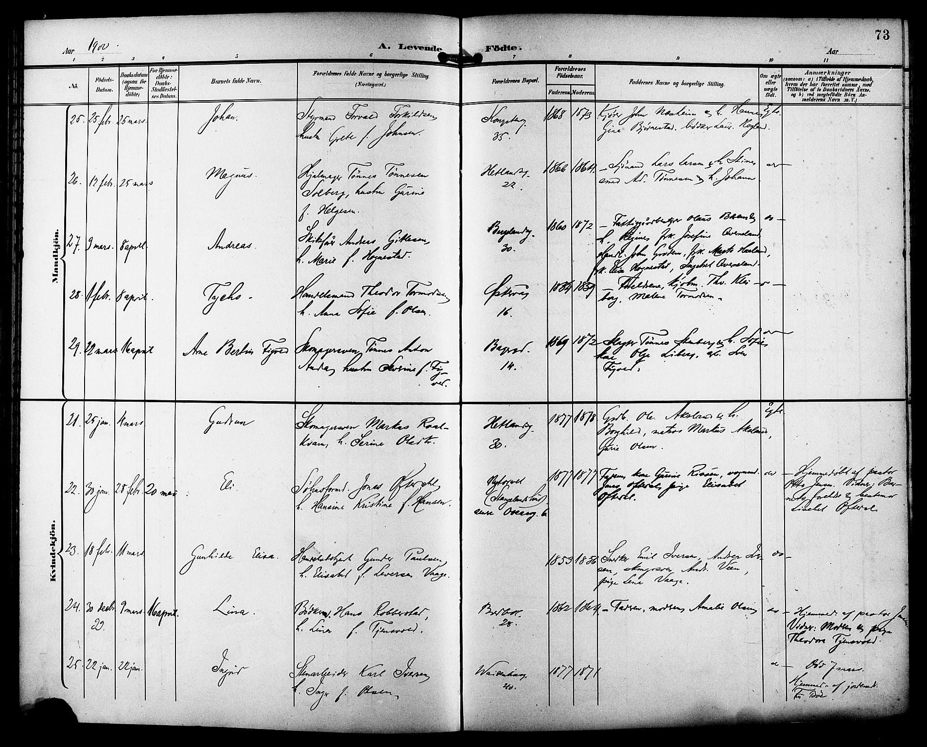 St. Petri sokneprestkontor, AV/SAST-A-101813/001/30/30BB/L0008: Klokkerbok nr. B 8, 1897-1905, s. 73