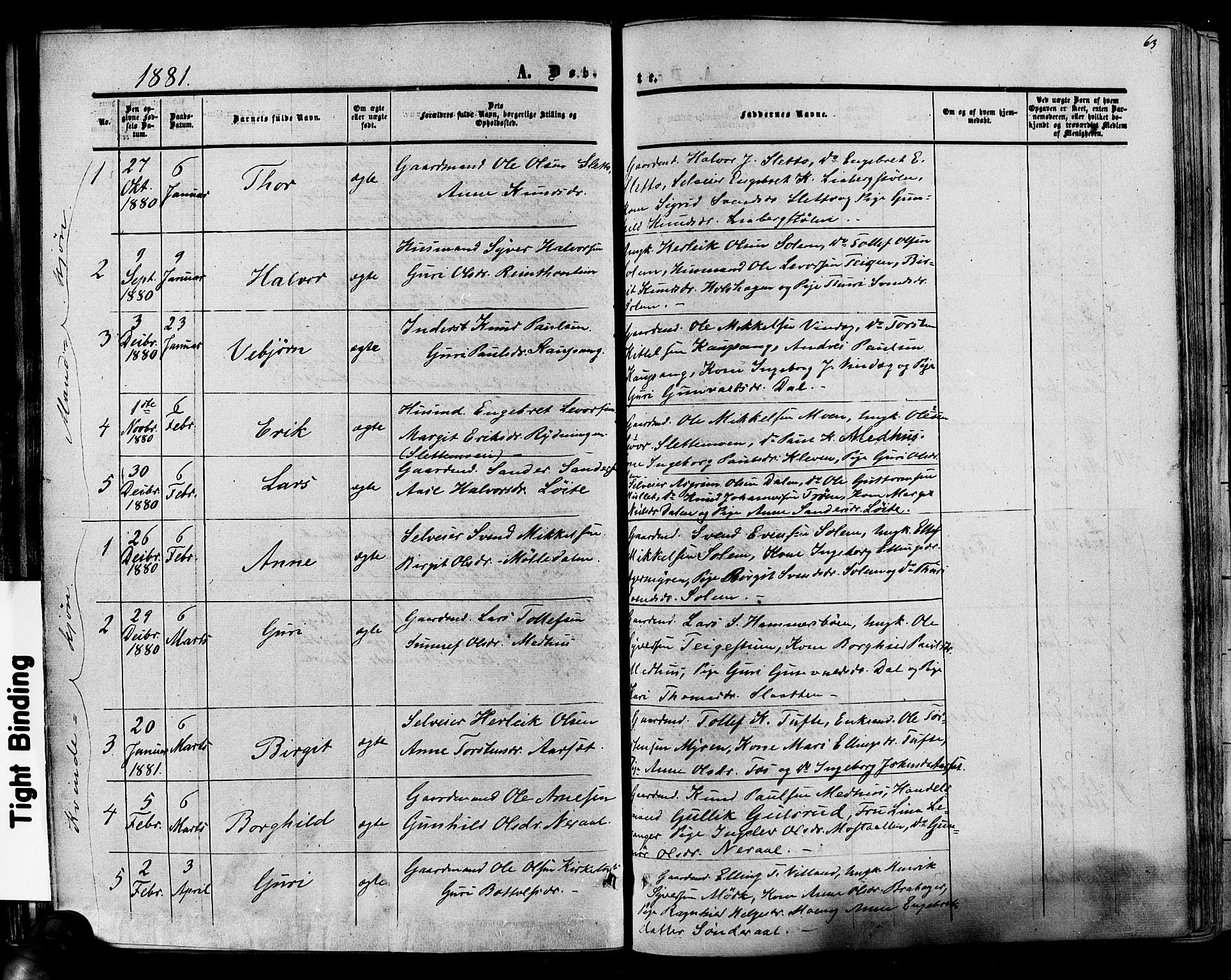 Hol kirkebøker, AV/SAKO-A-227/F/Fa/L0002: Ministerialbok nr. I 2, 1870-1886, s. 63